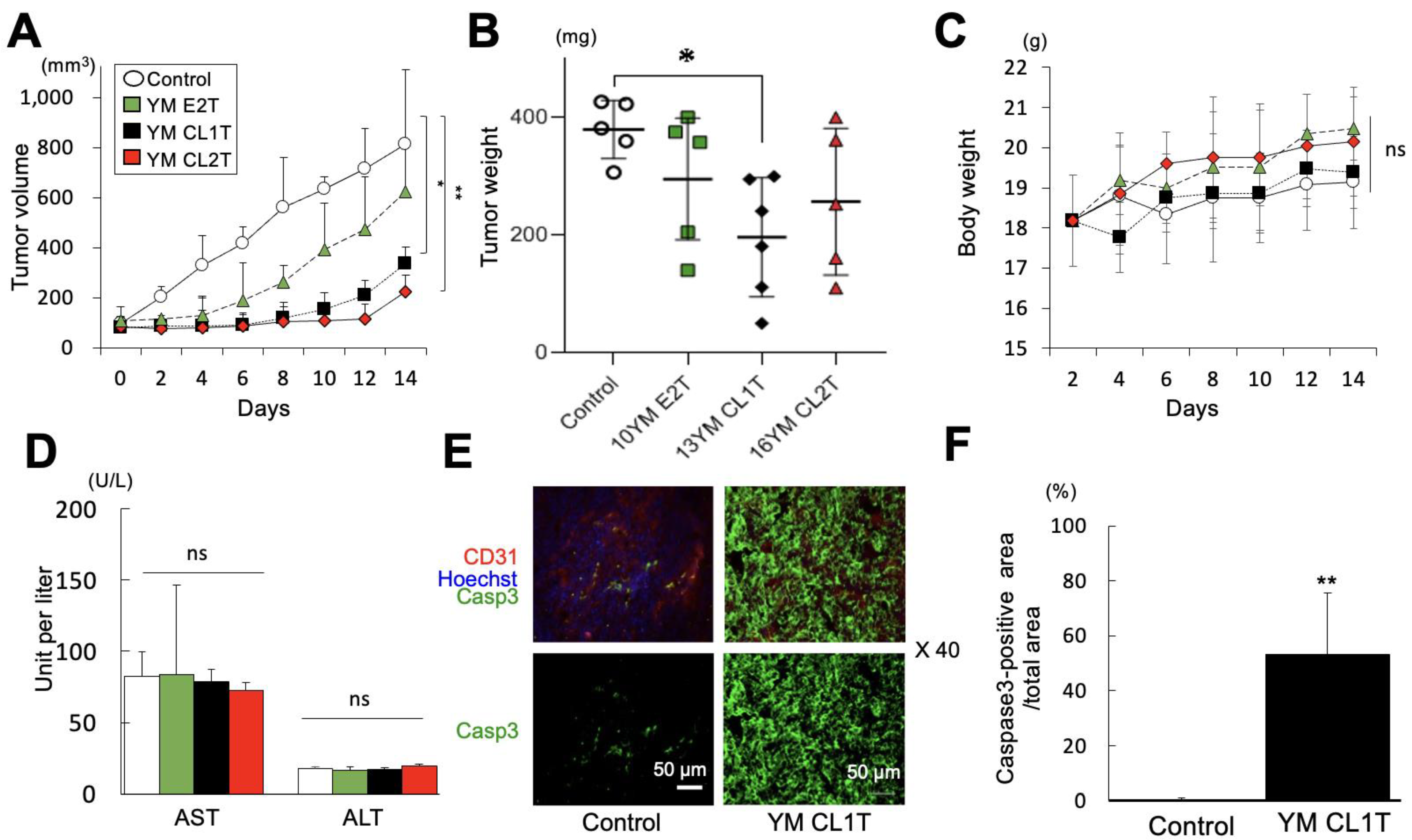 Molecules 29 05490 g005