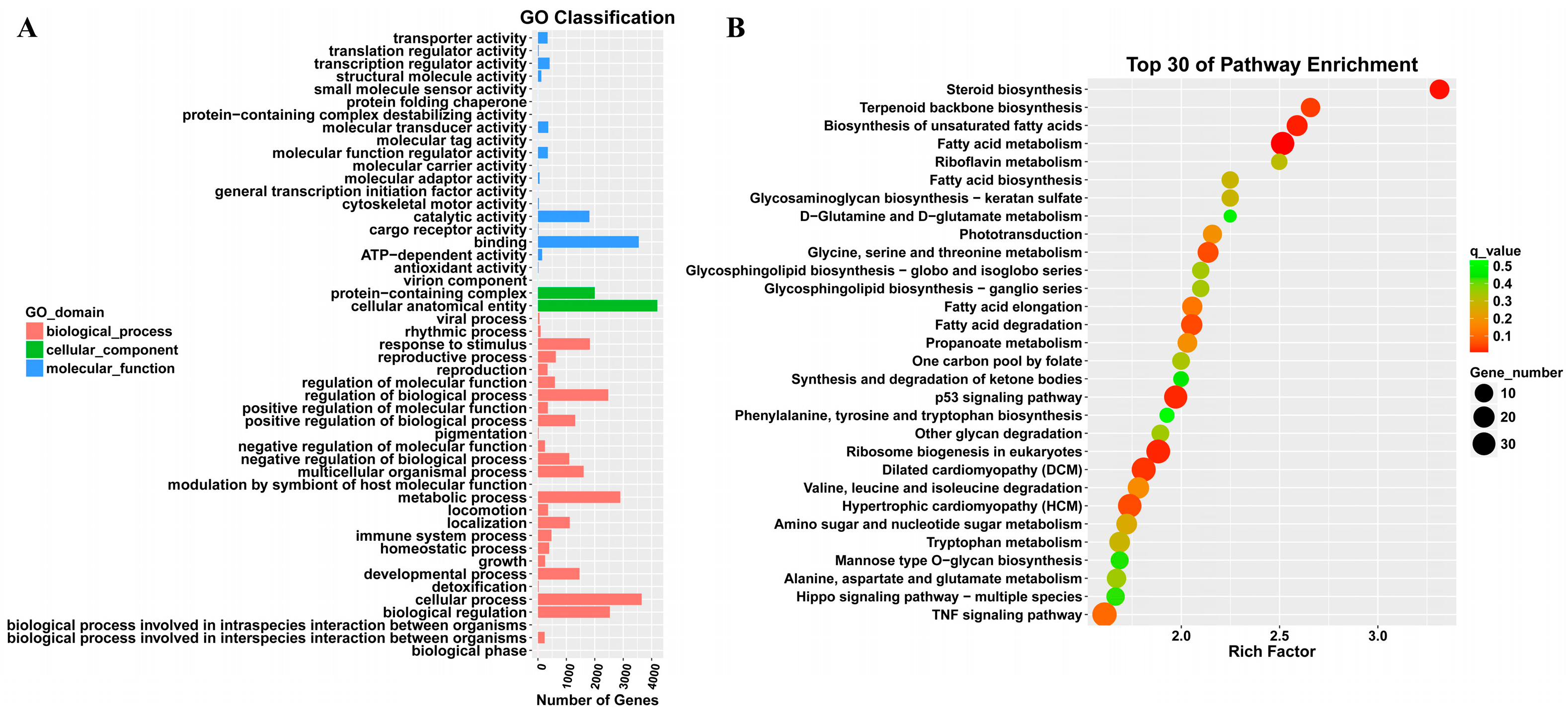 Molecules 29 05491 g003