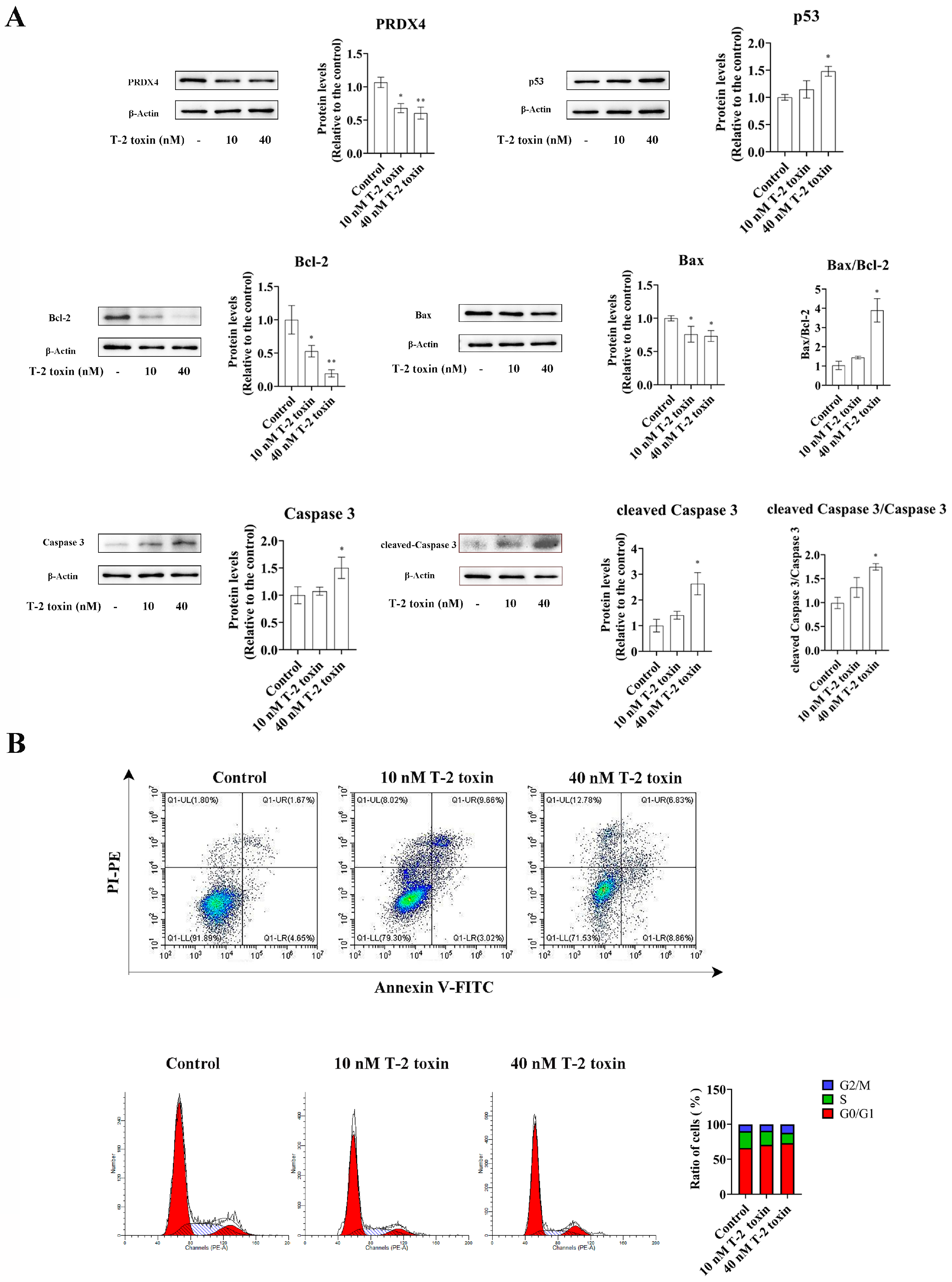 Molecules 29 05491 g004
