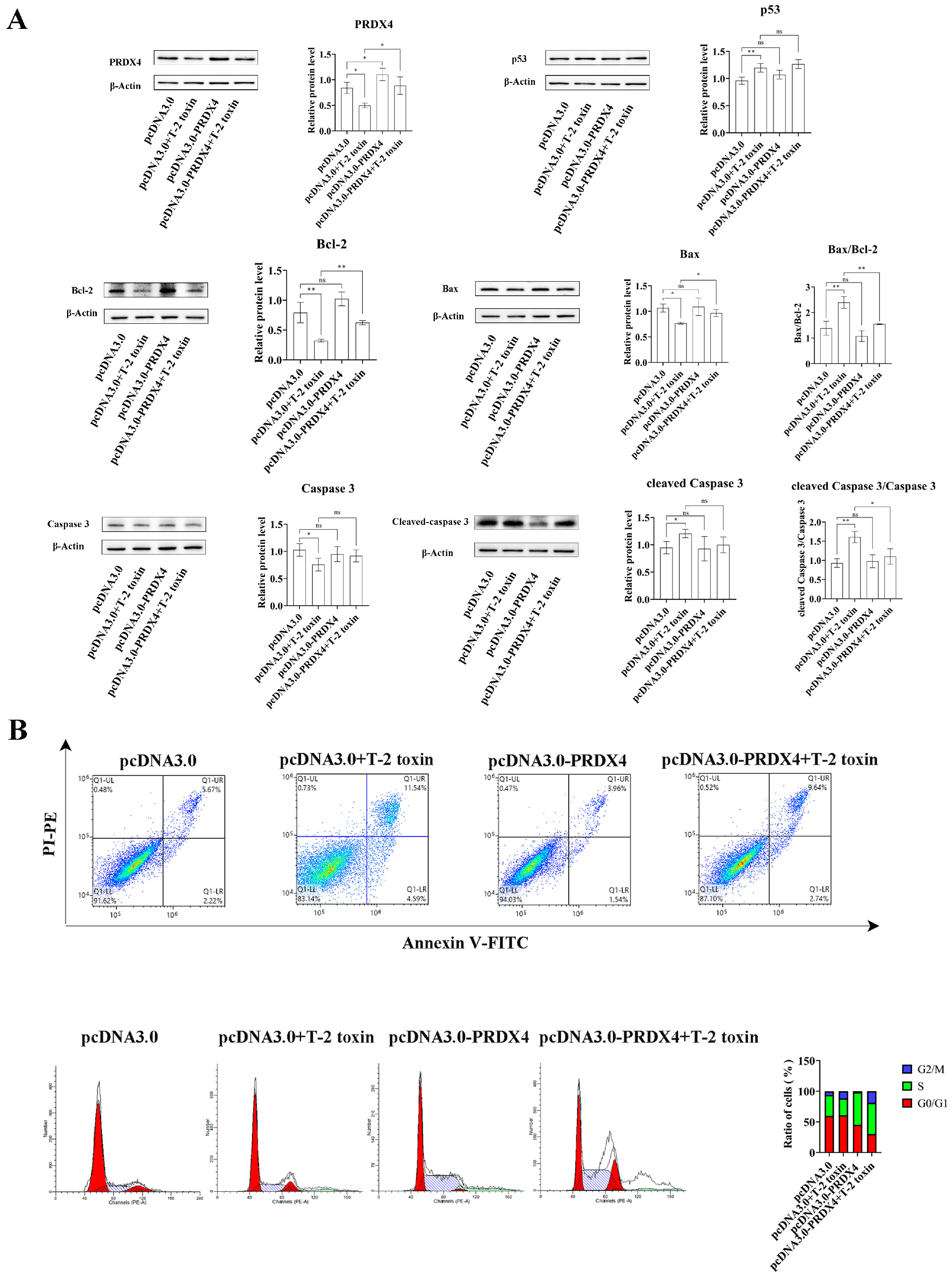 Molecules 29 05491 g006