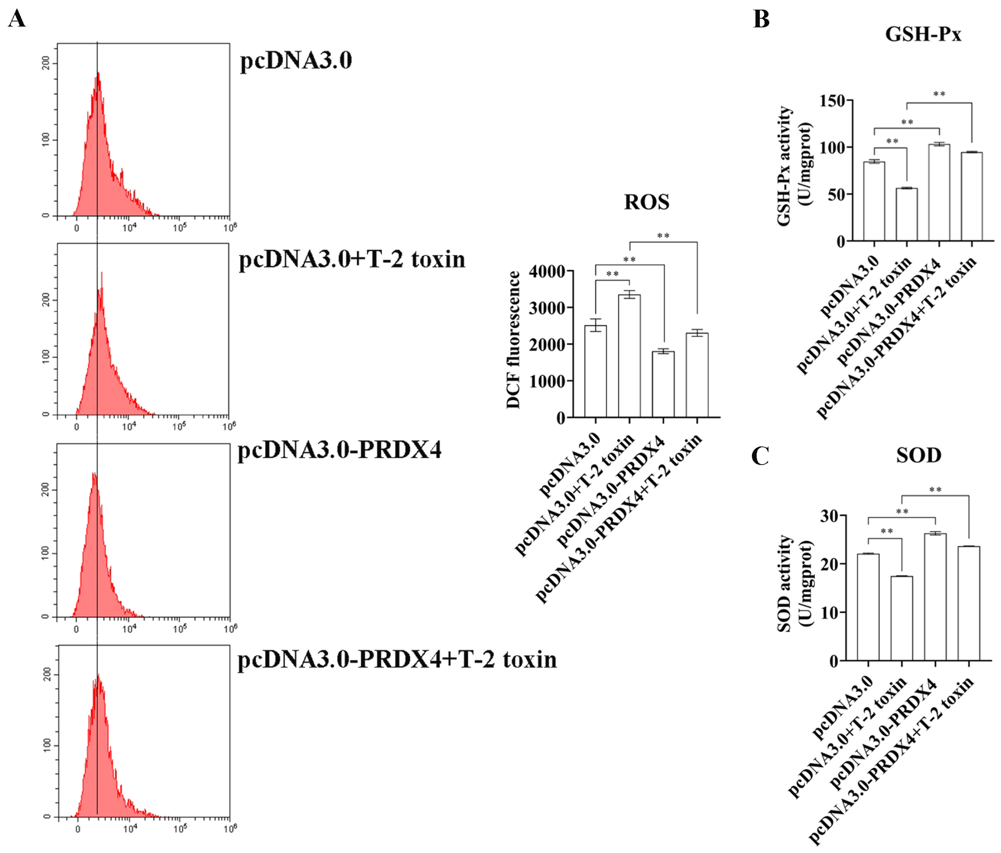 Molecules 29 05491 g007