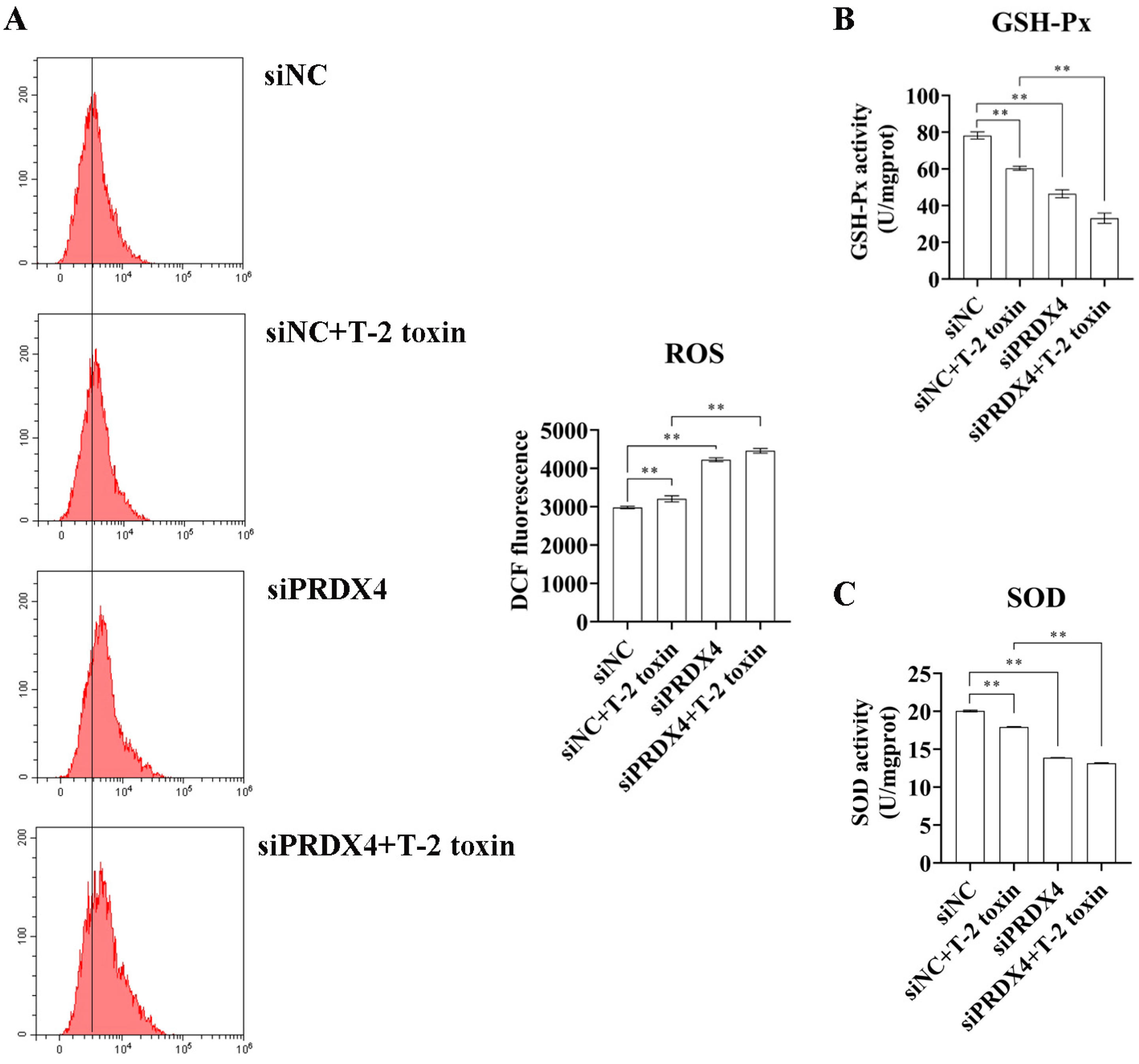 Molecules 29 05491 g009