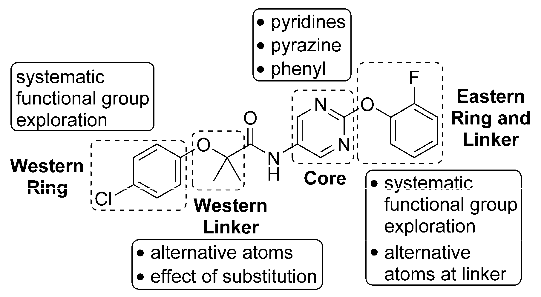 Molecules 29 05494 g002