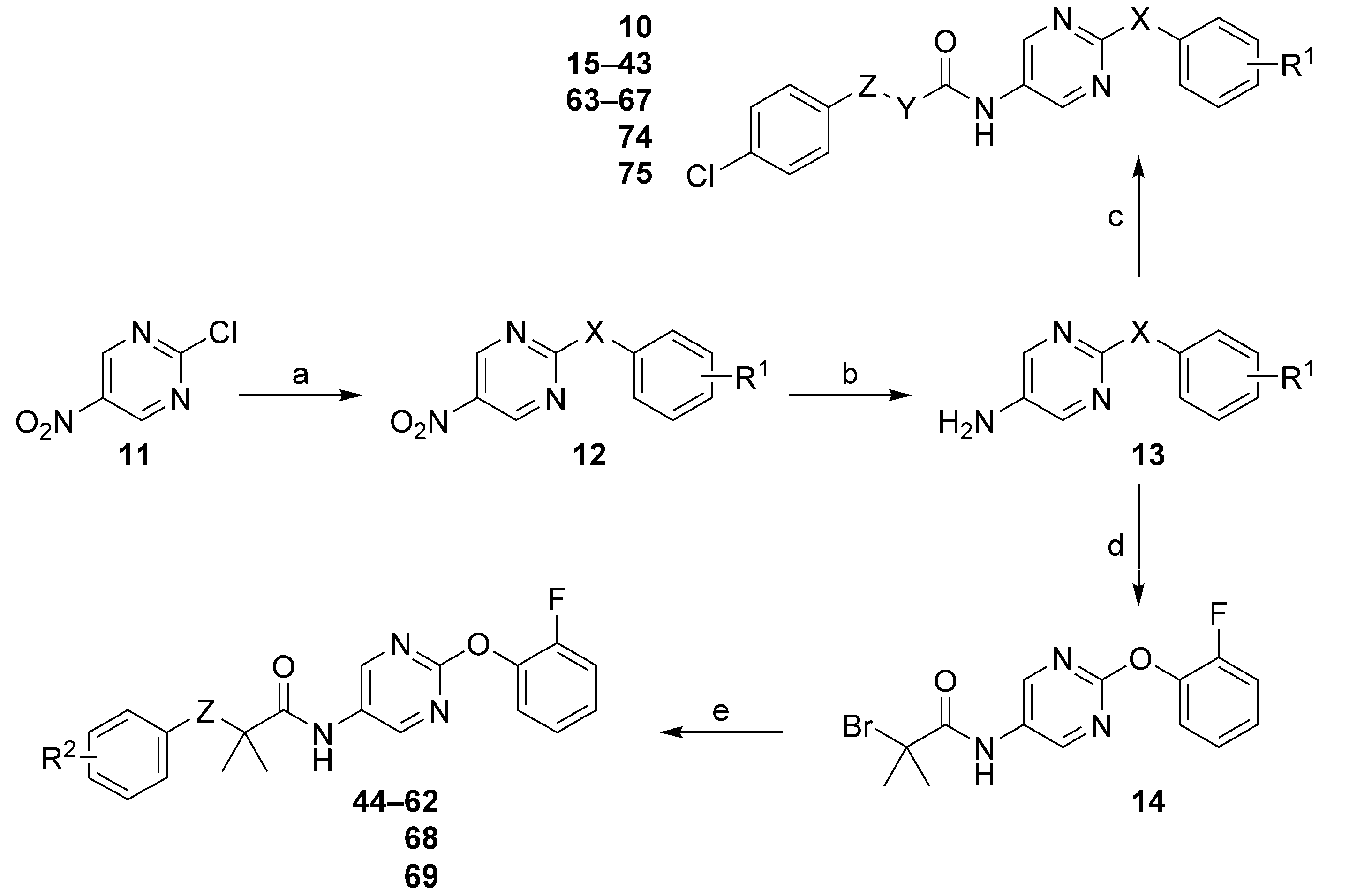 Molecules 29 05494 sch001
