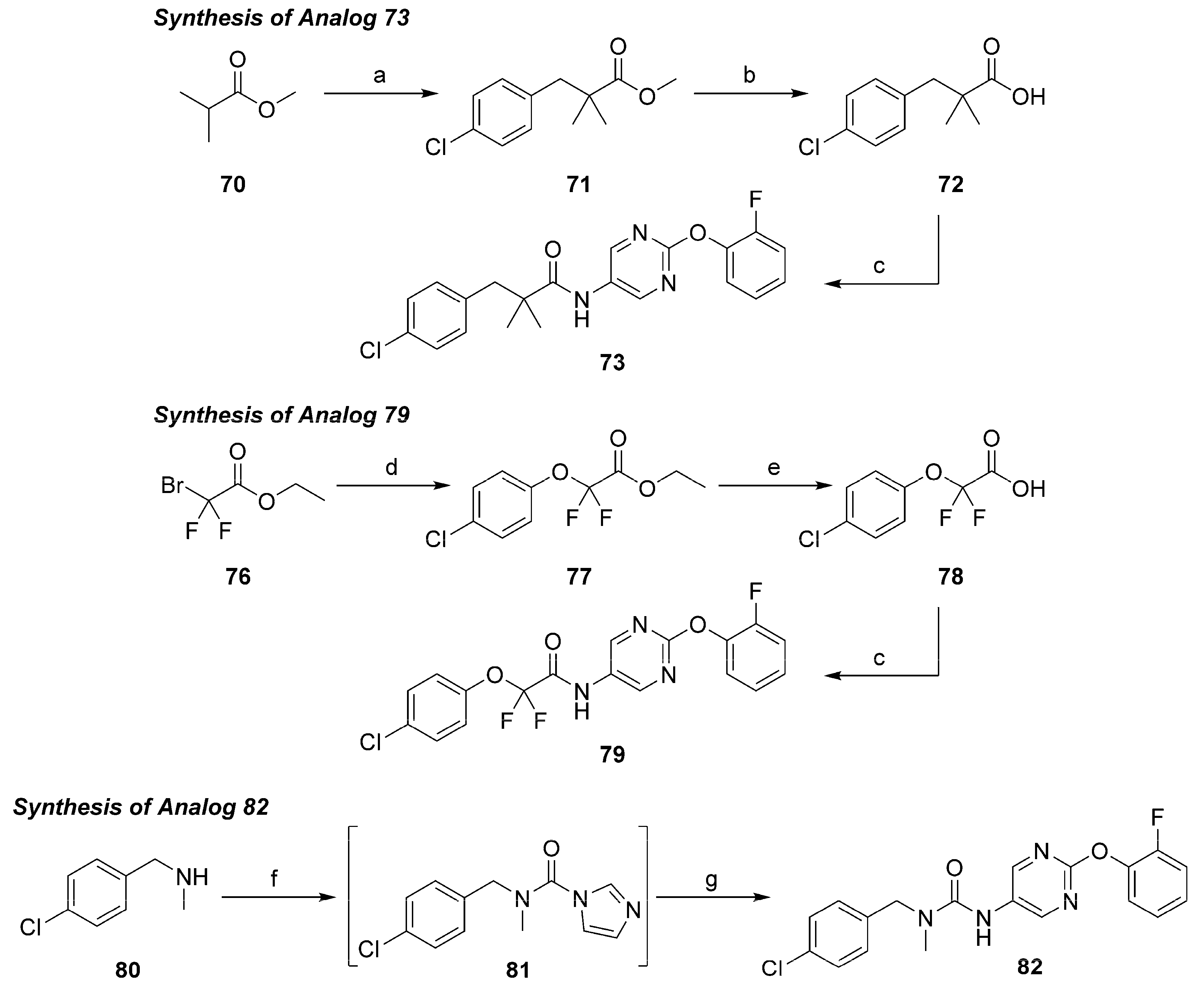 Molecules 29 05494 sch002