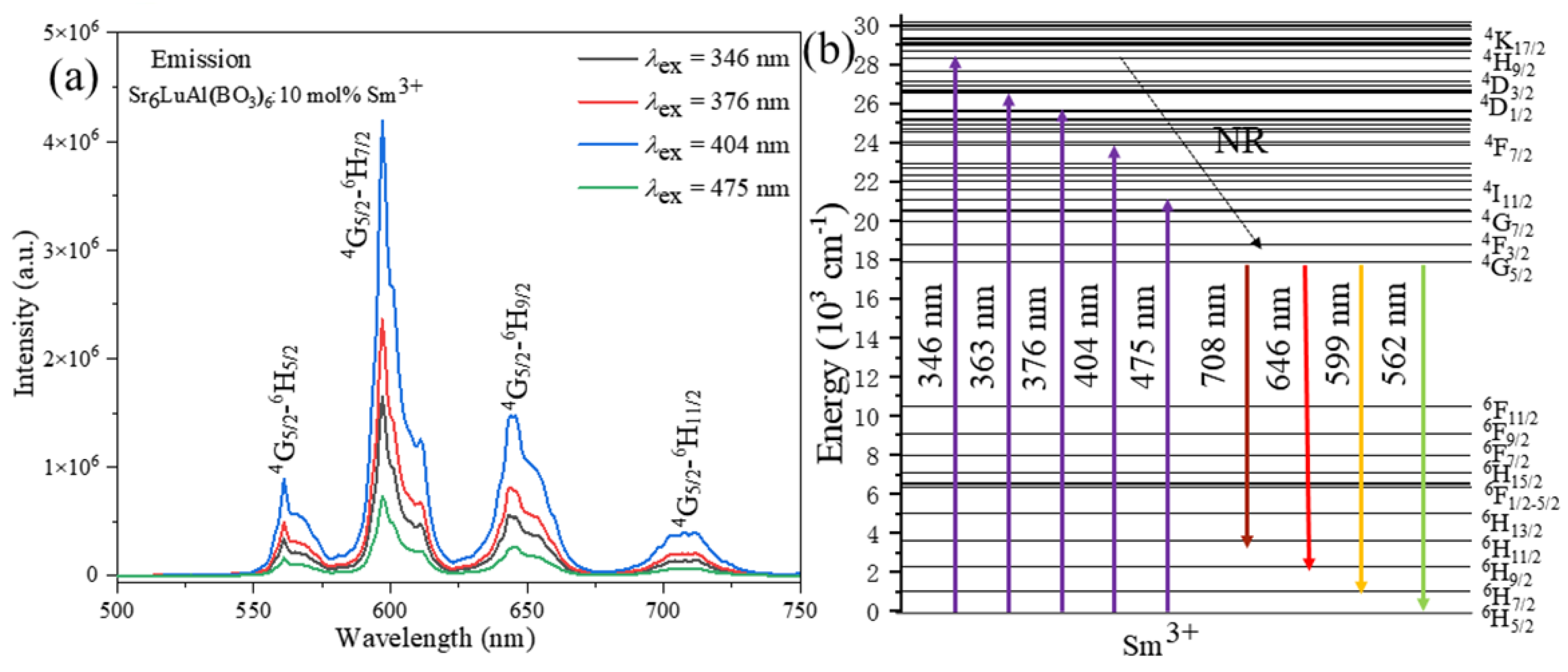Molecules 29 05495 g006
