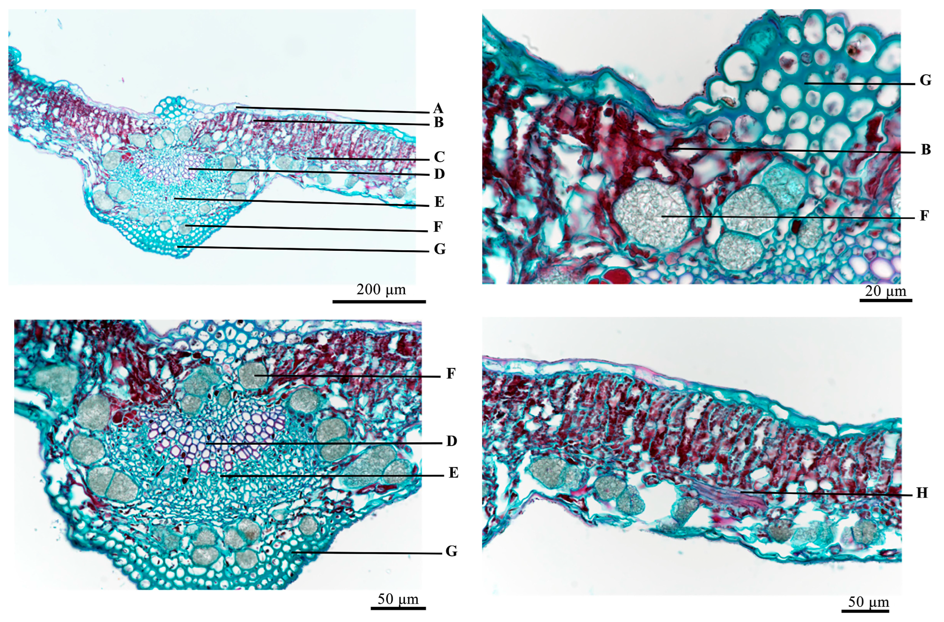 Molecules 29 05503 g003