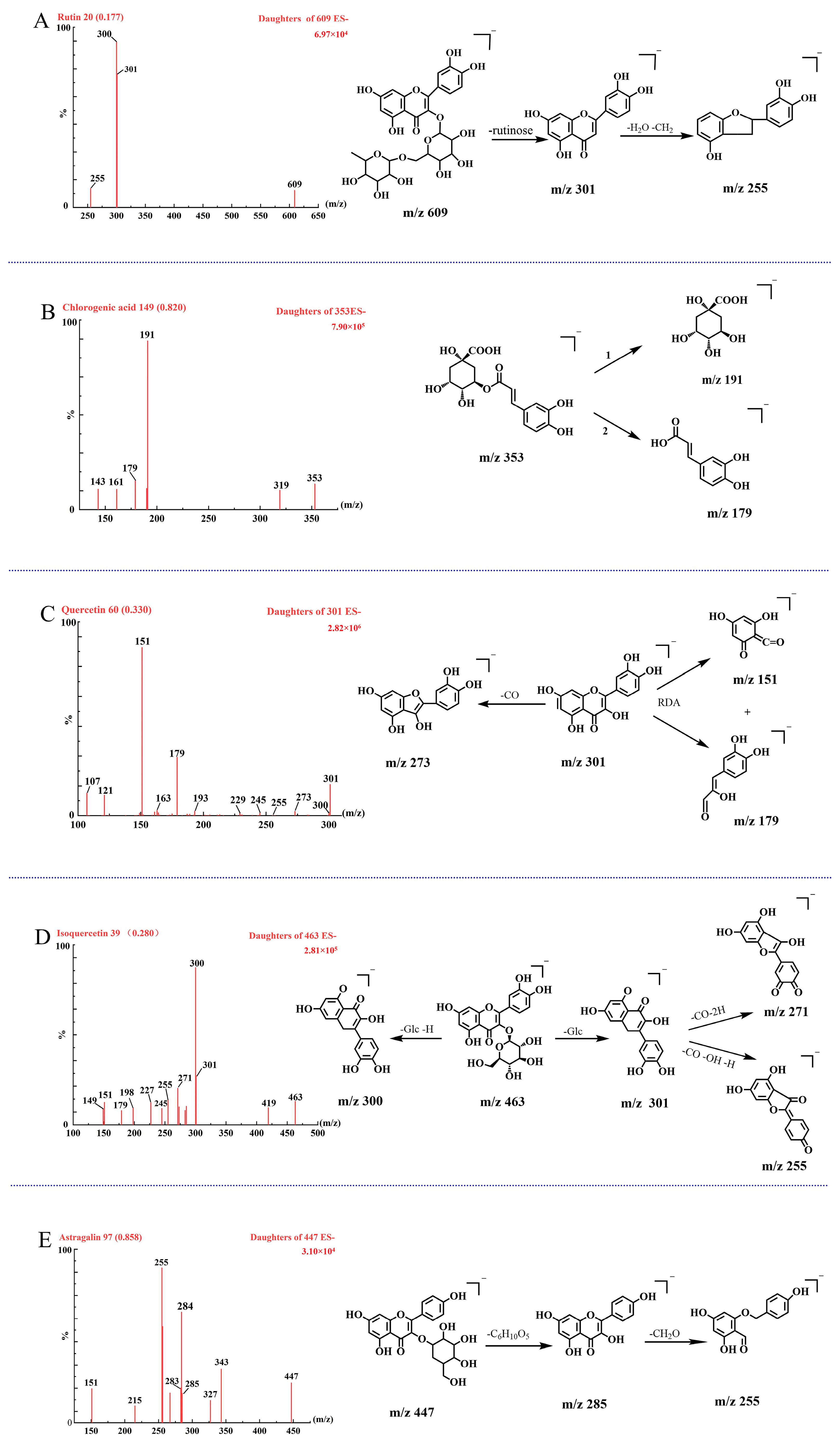 Molecules 29 05503 g010