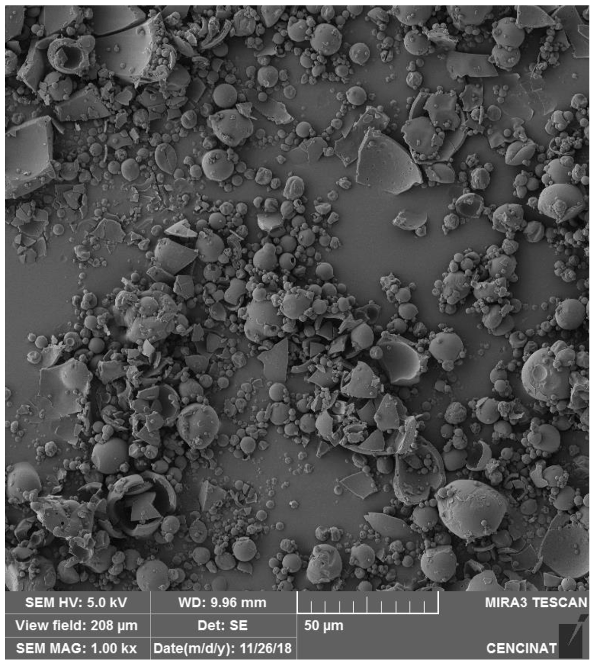 Molecules 29 05504 g001