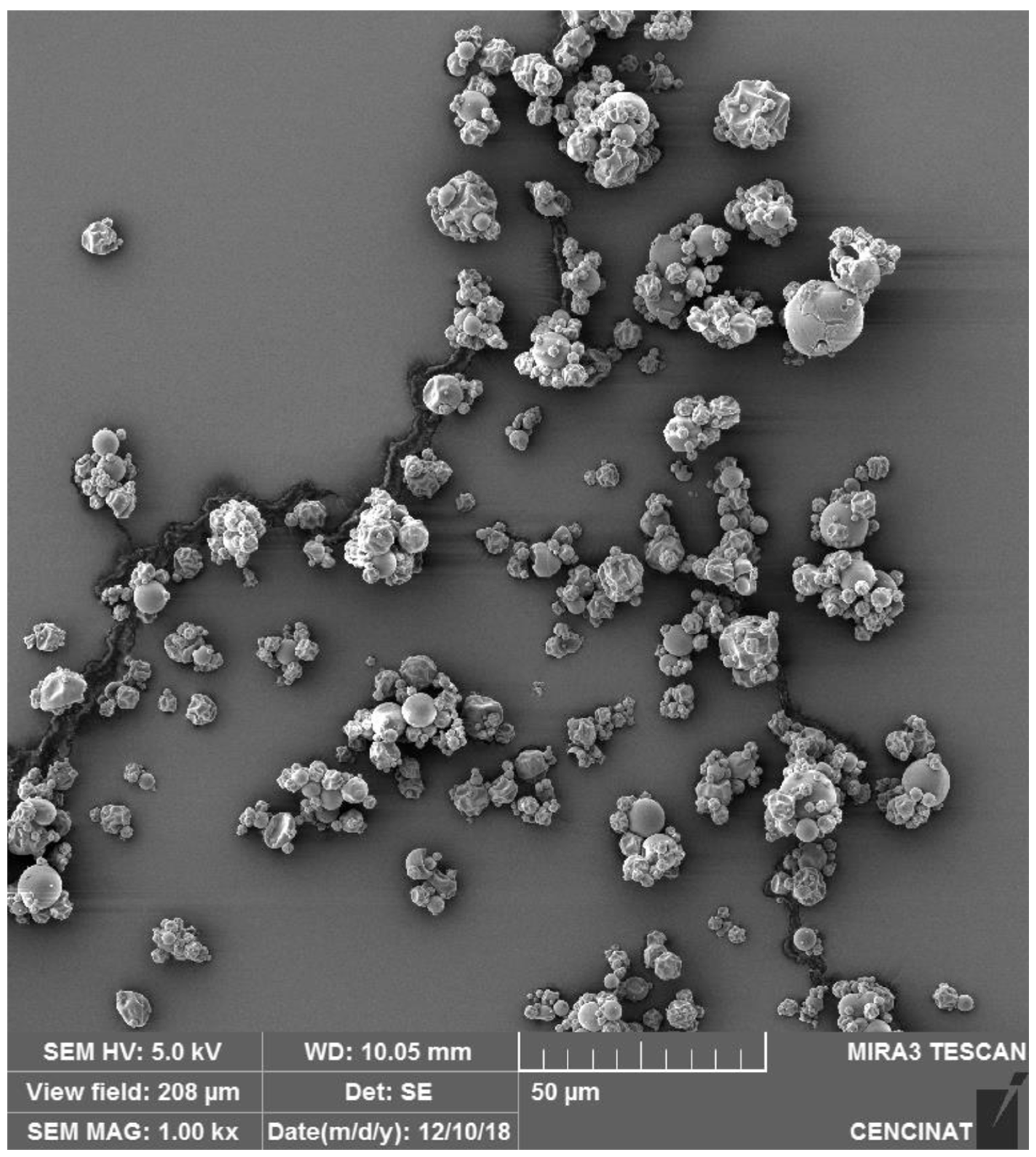 Molecules 29 05504 g002