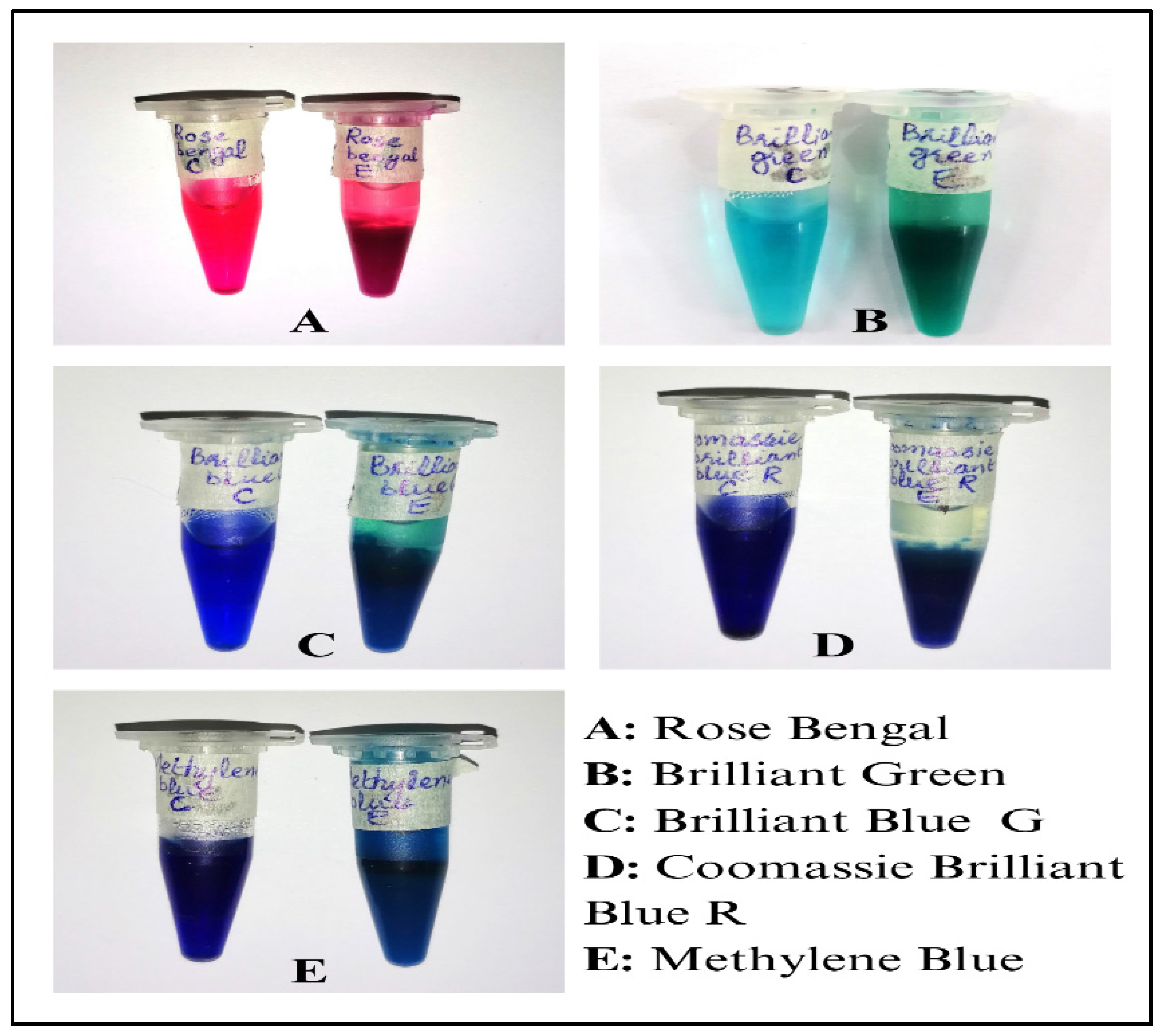 Molecules 29 05514 g007 Molecules 29 05514 g007
