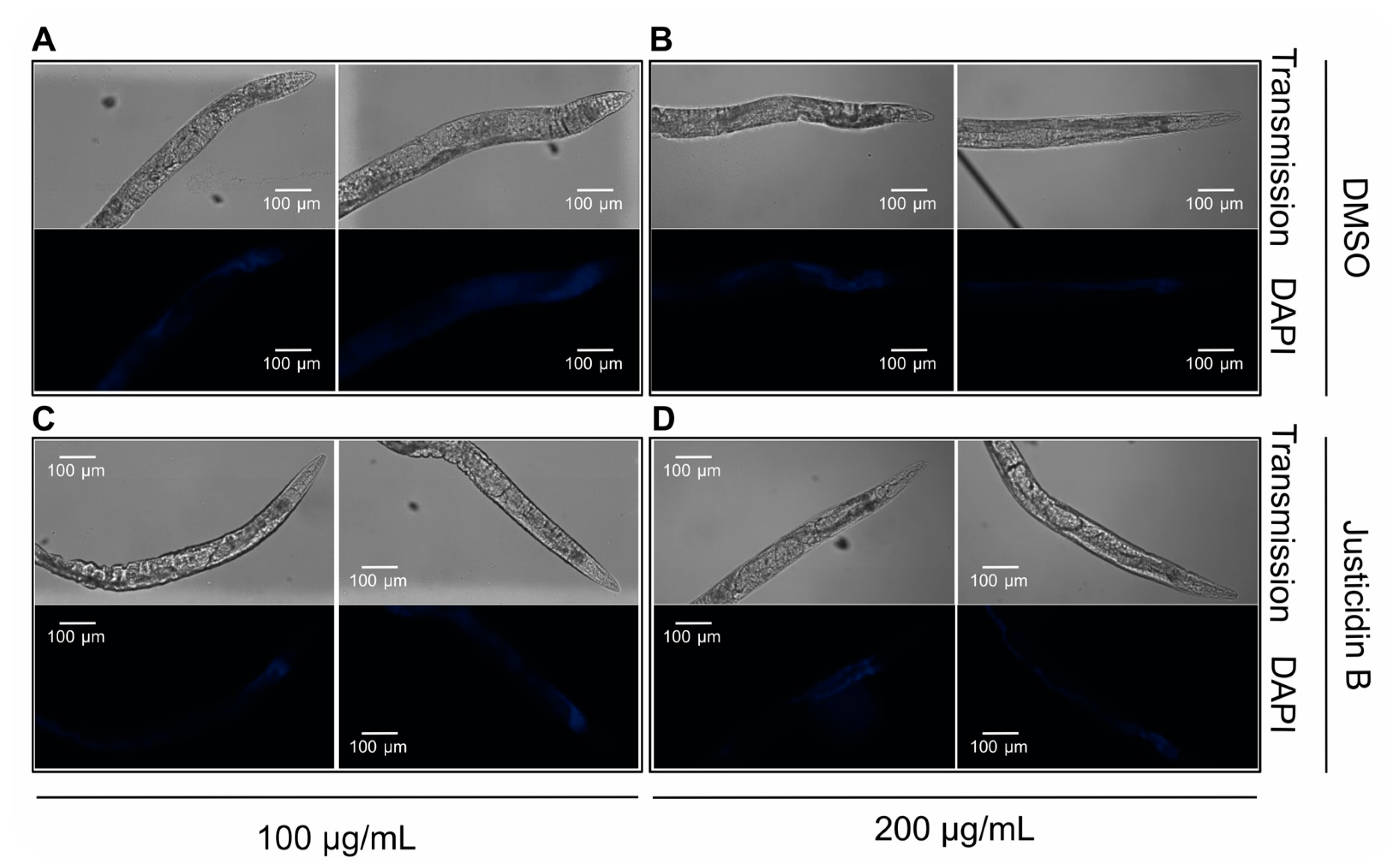 Molecules 29 05516 g004