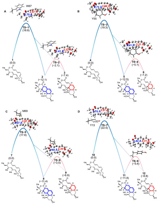 Using the Theozyme Model to Study the Dynamical Mechanism of