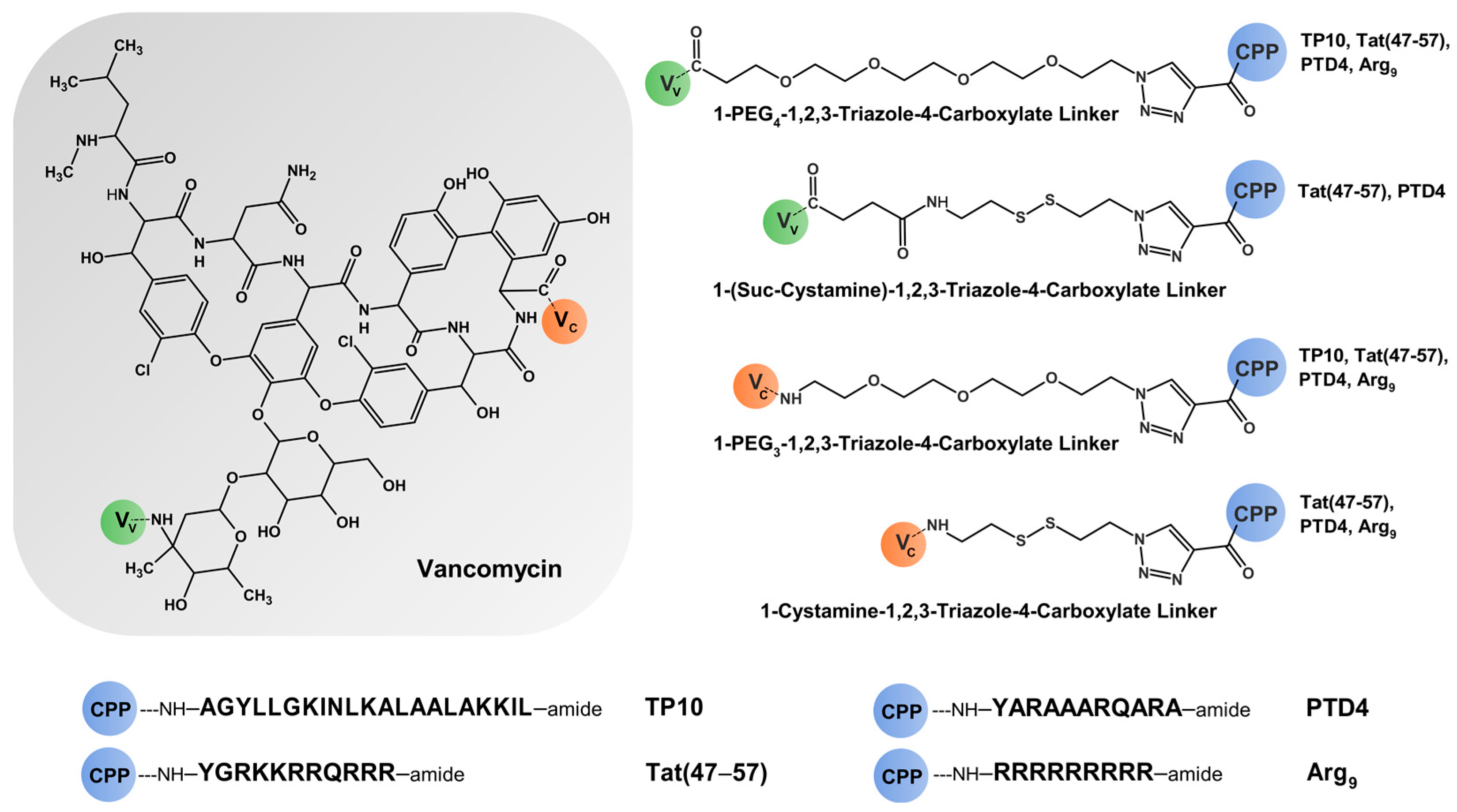 Molecules 29 05519 g001
