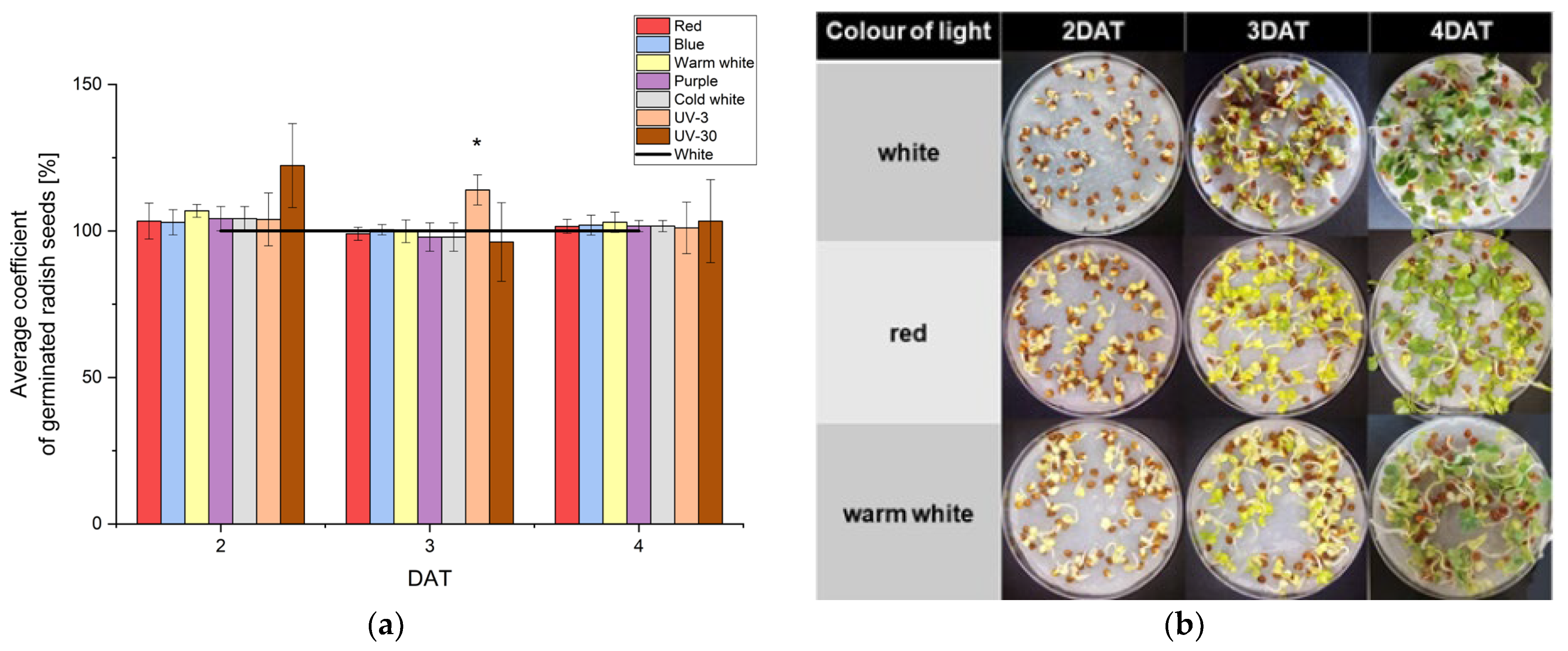 Molecules 29 05528 g001
