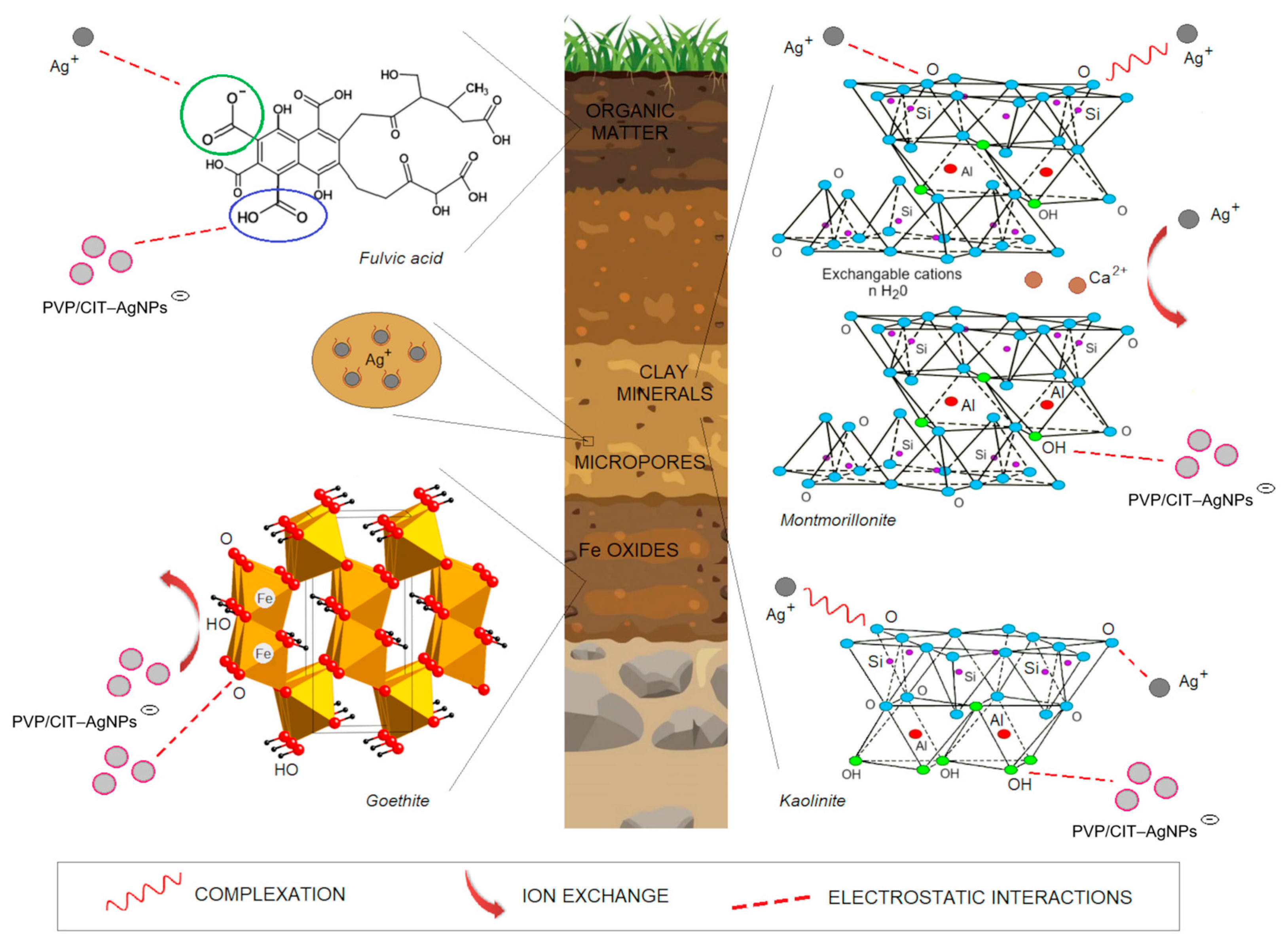 Molecules 29 05531 g003
