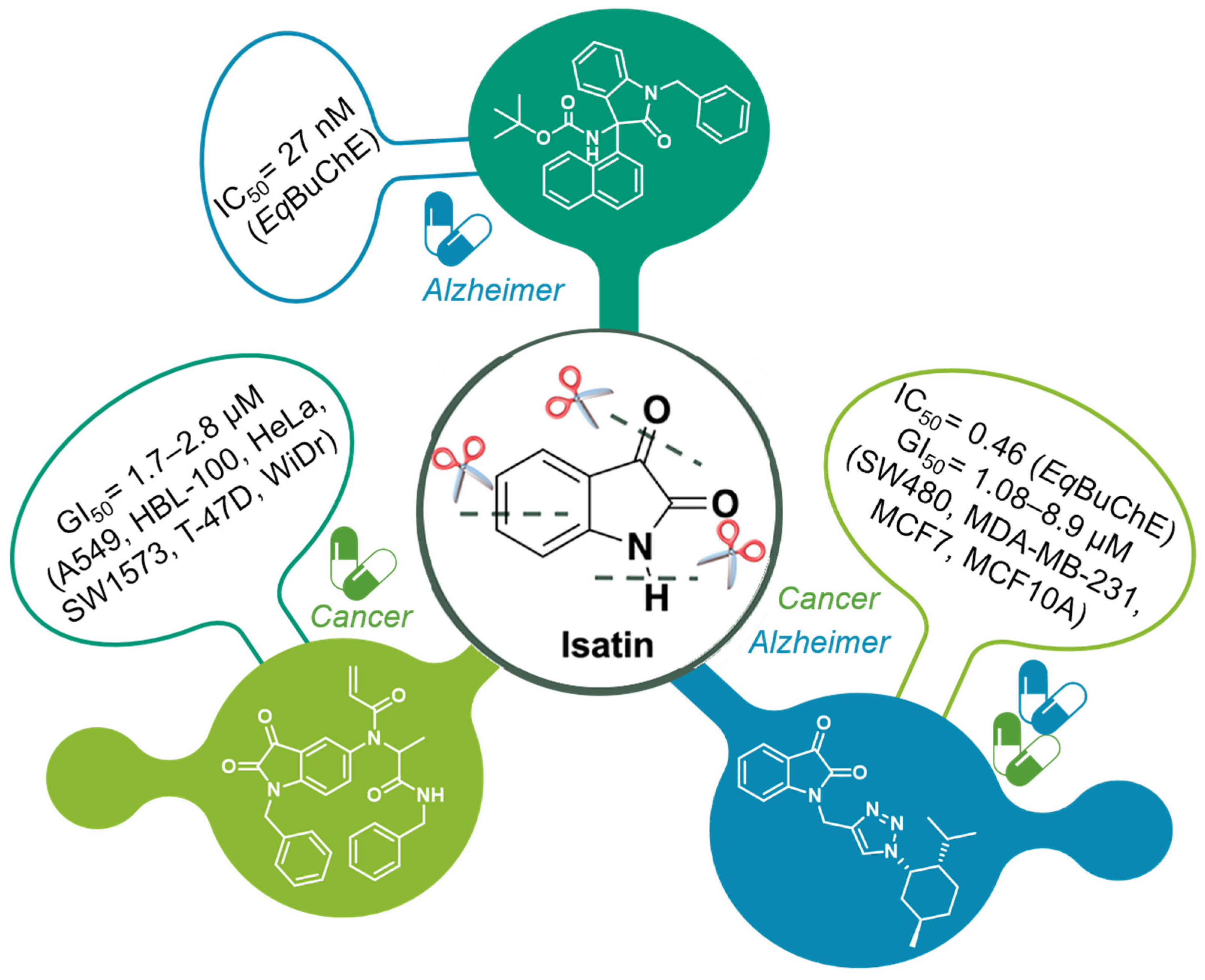 Molecules 29 05538 g001