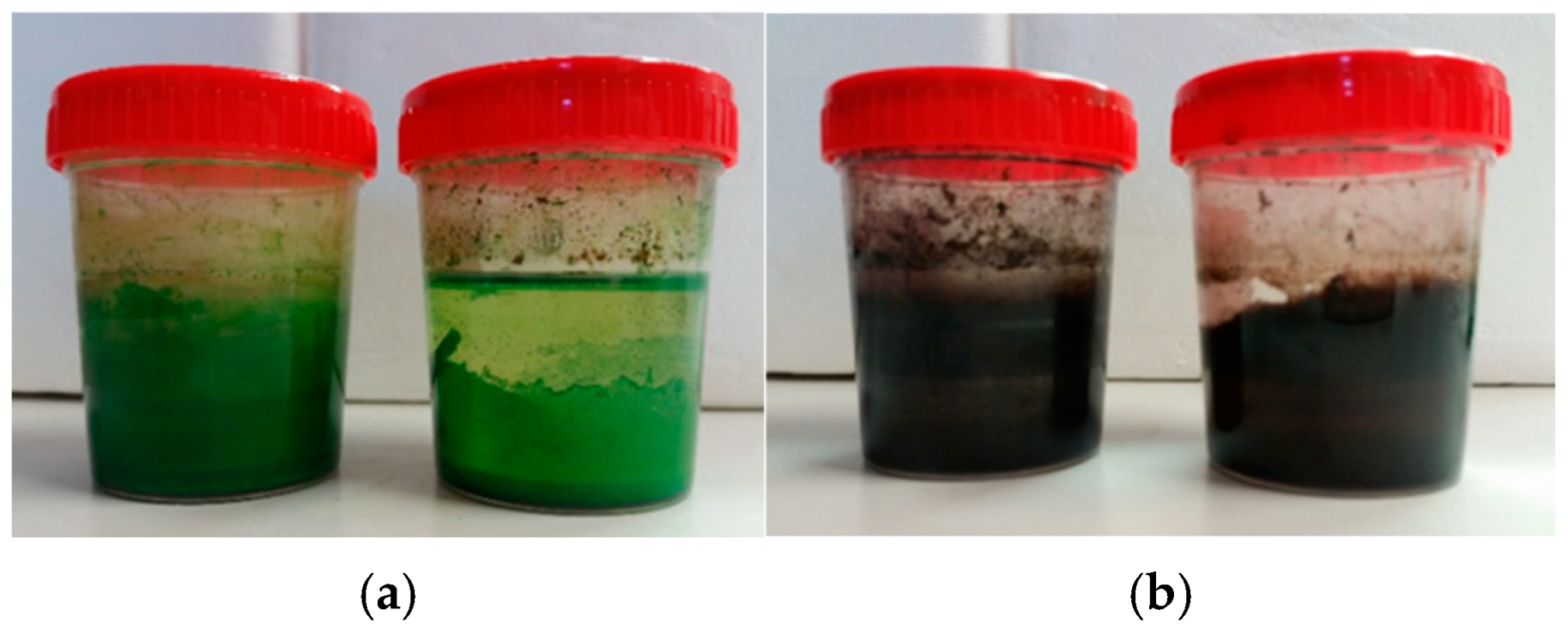 Molecules 29 05543 g003