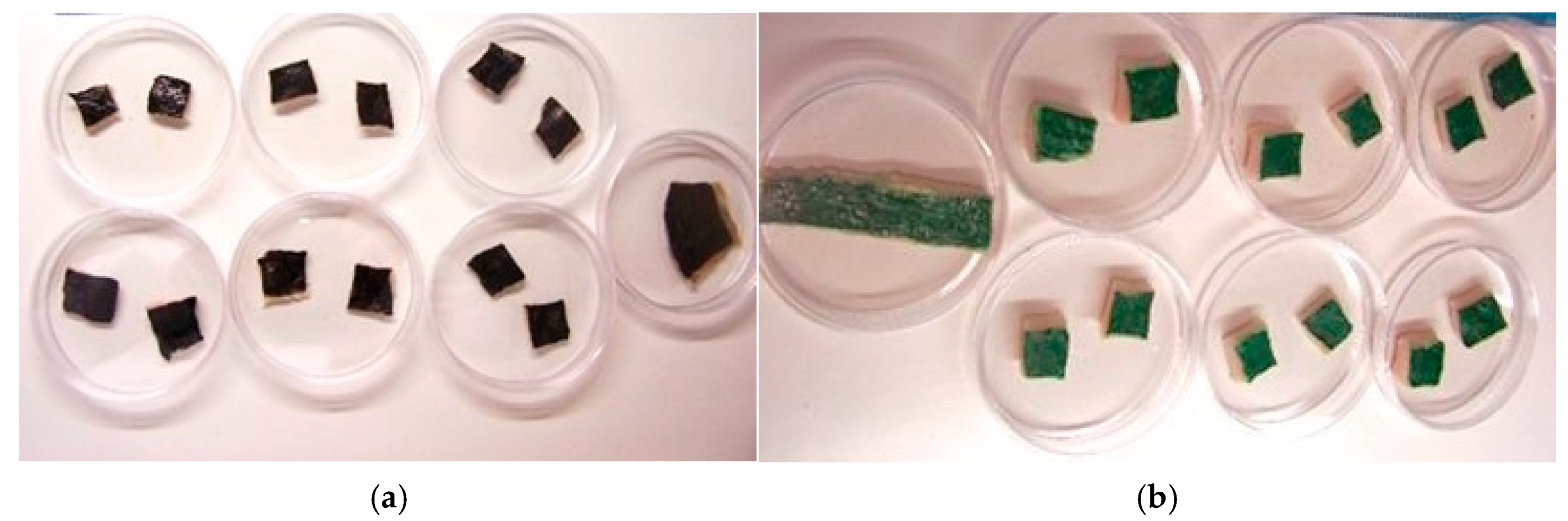 Molecules 29 05543 g010