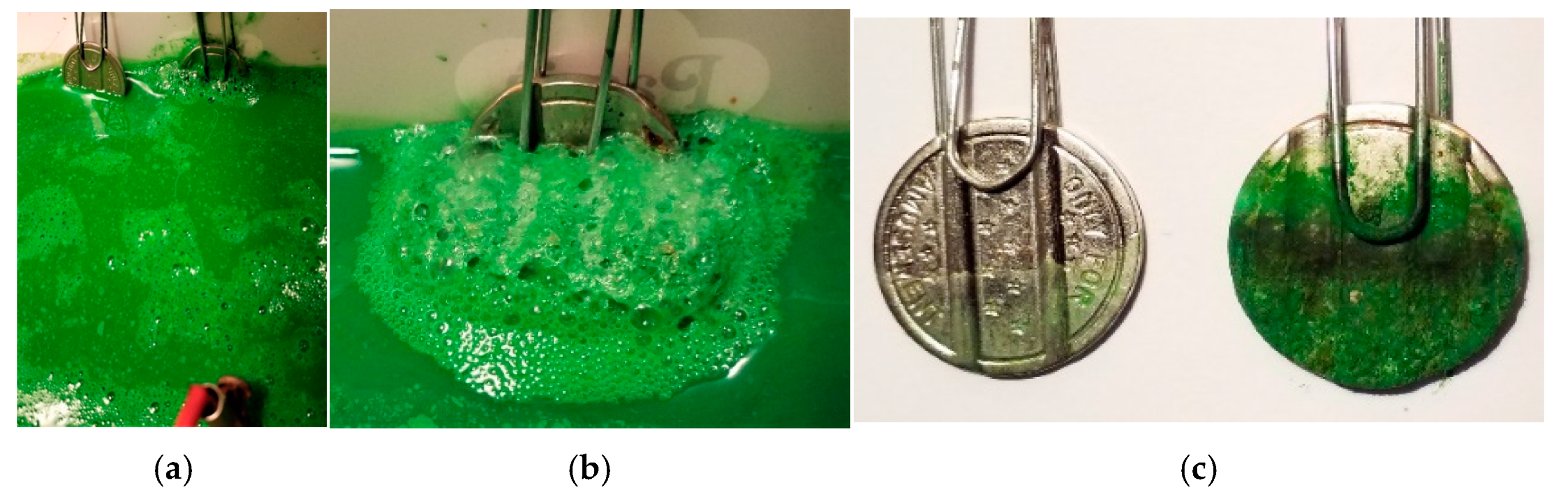 Molecules 29 05543 g012