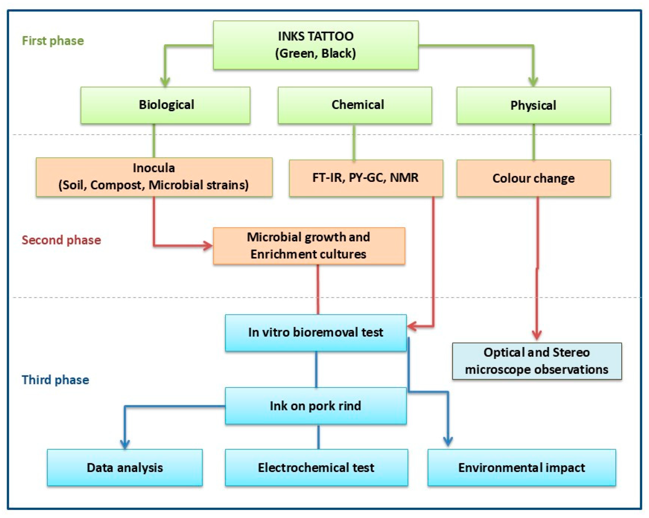 Molecules 29 05543 g013