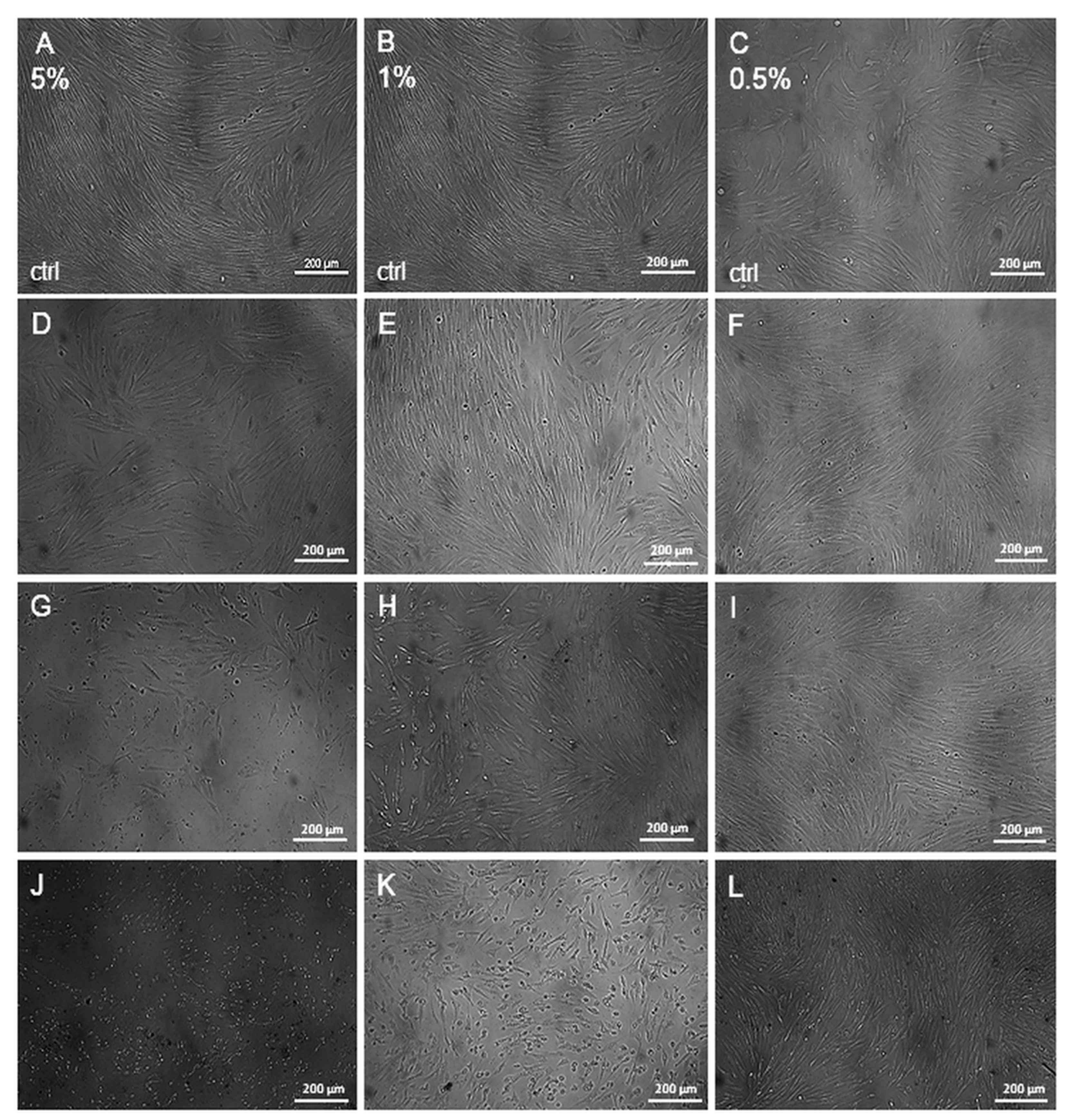 Molecules 29 05548 g006
