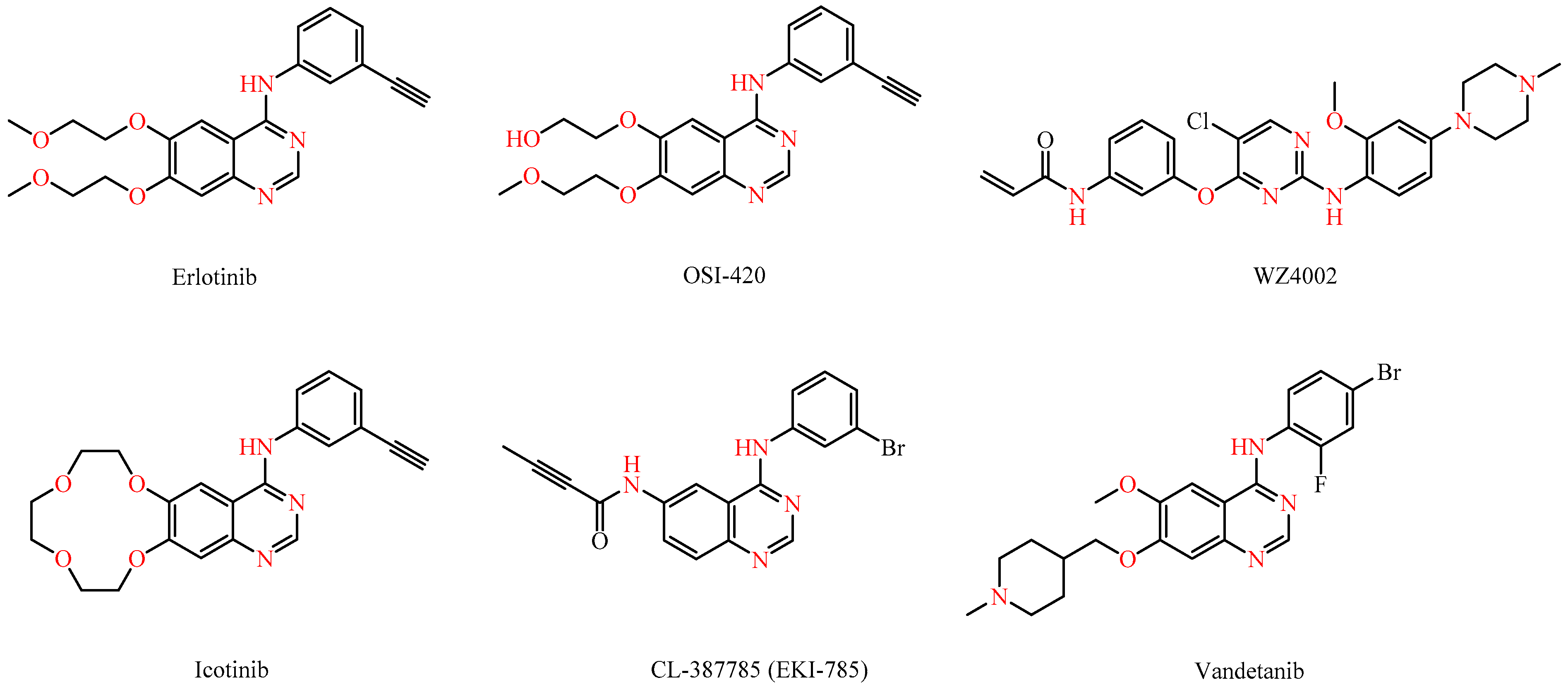 Molecules 29 05549 g001
