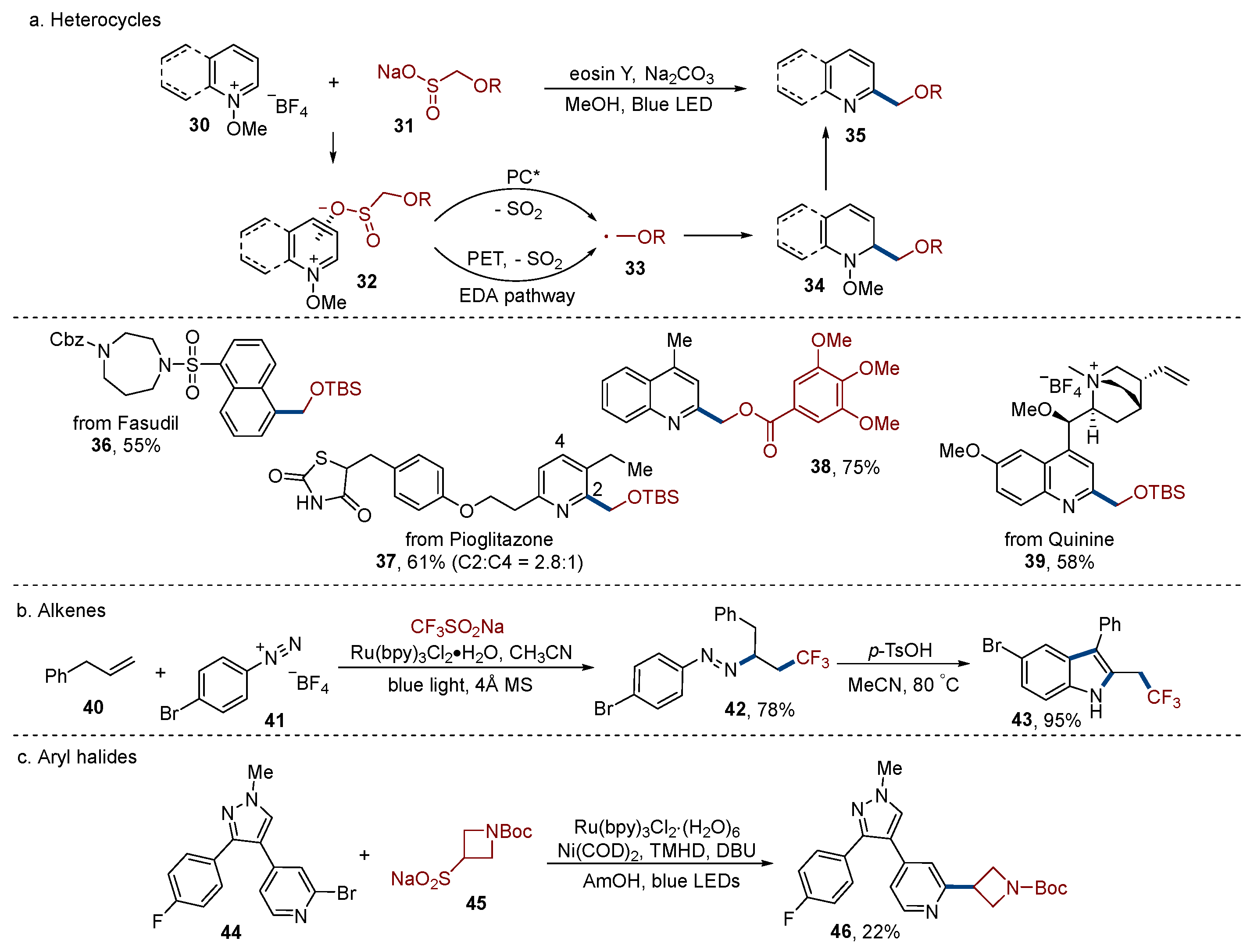 Molecules 29 05553 g003