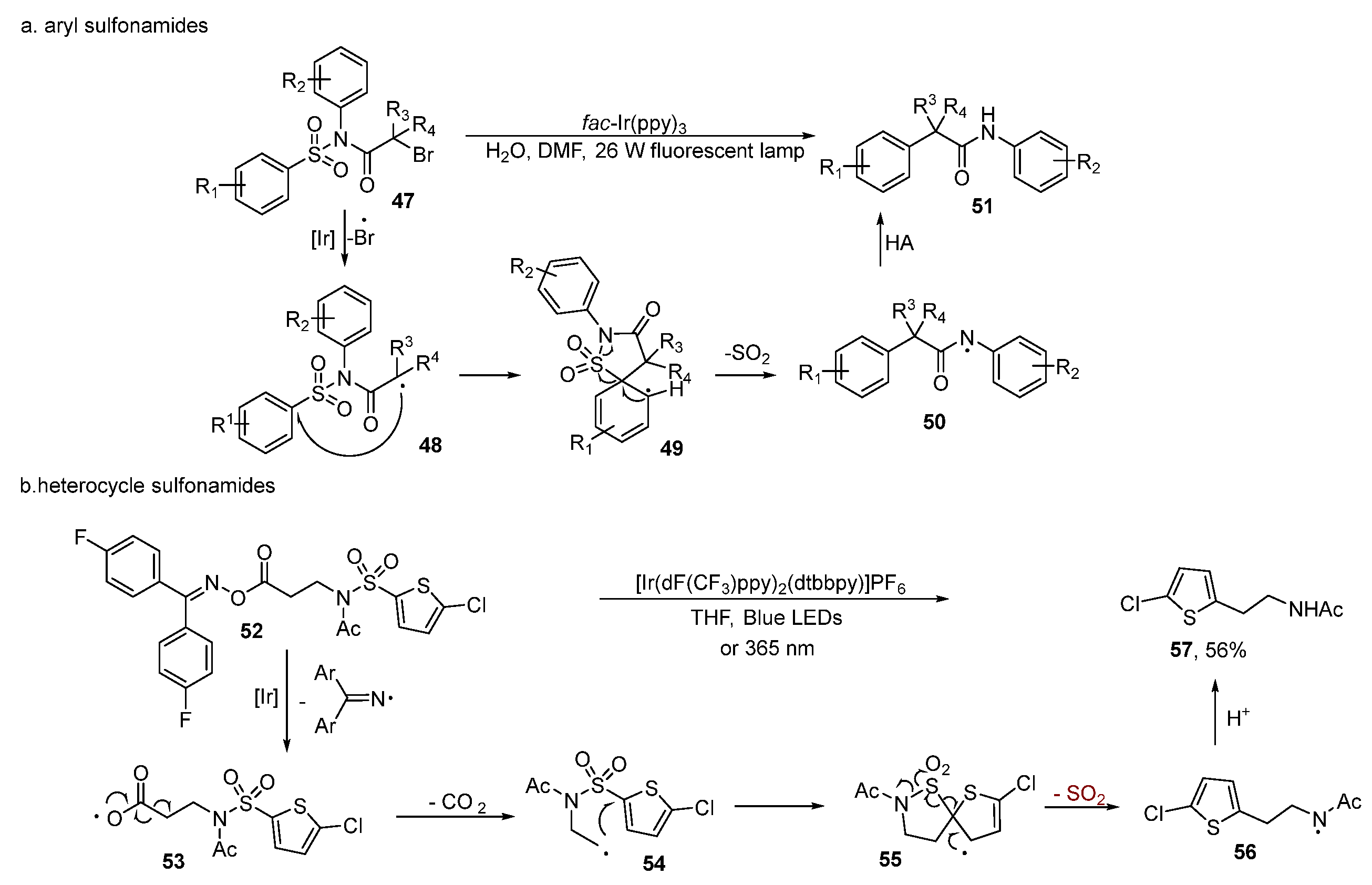 Molecules 29 05553 g004
