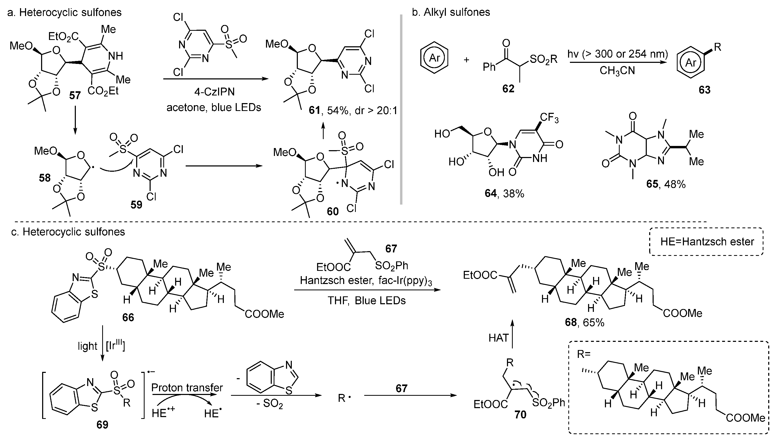 Molecules 29 05553 g005