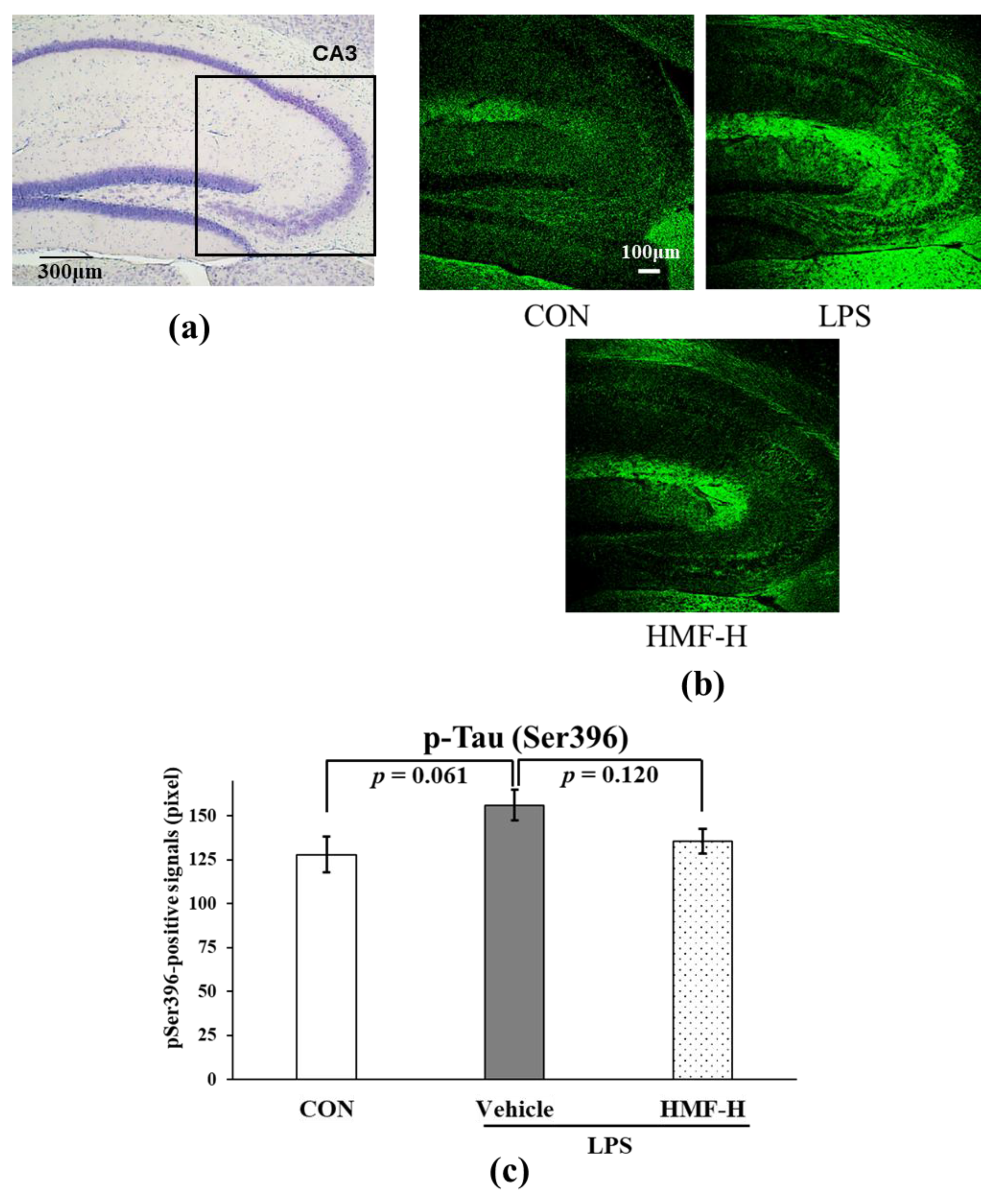 Molecules 29 05559 g008 Molecules 29 05559 g008