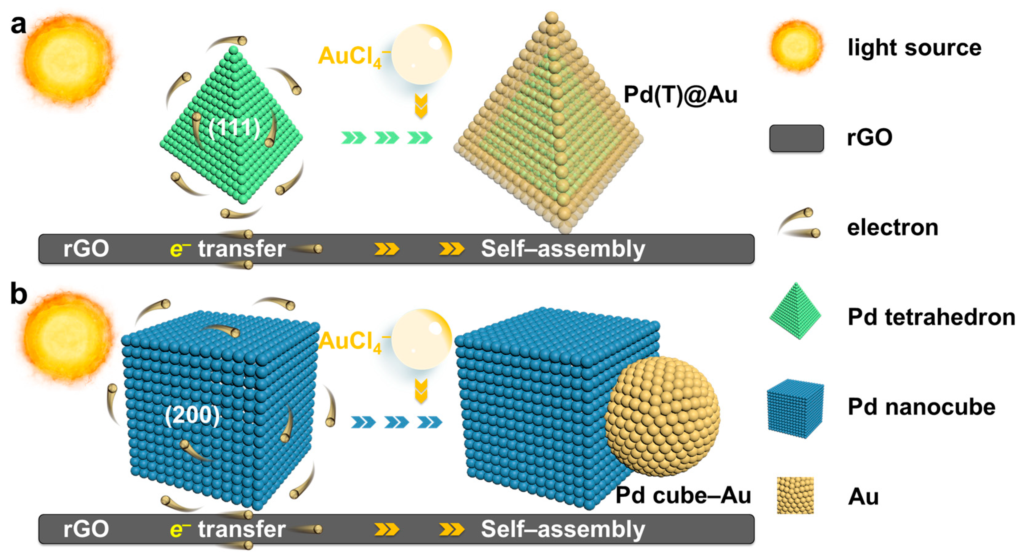 Molecules 29 05560 g001