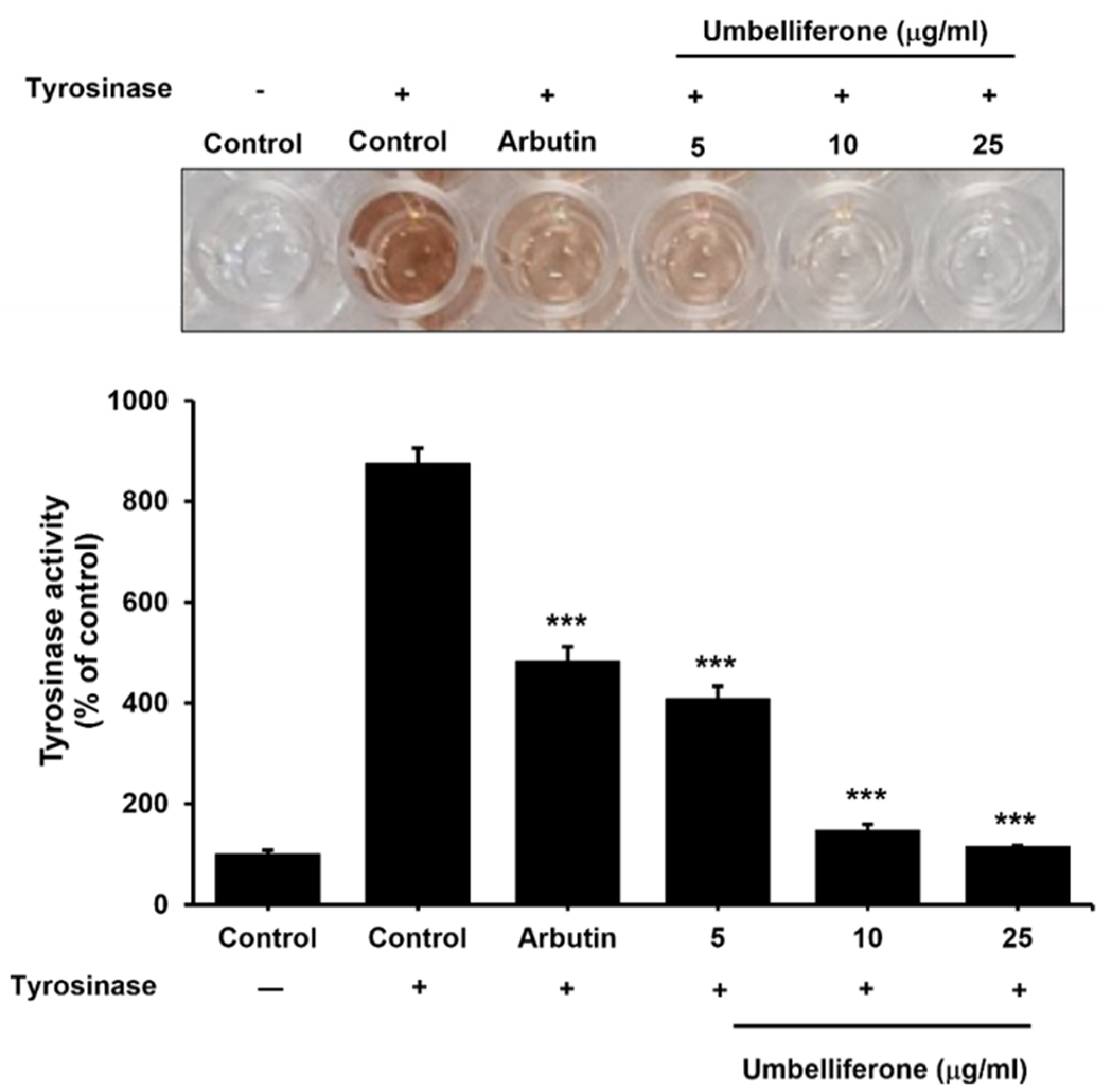 Molecules 29 05571 g003