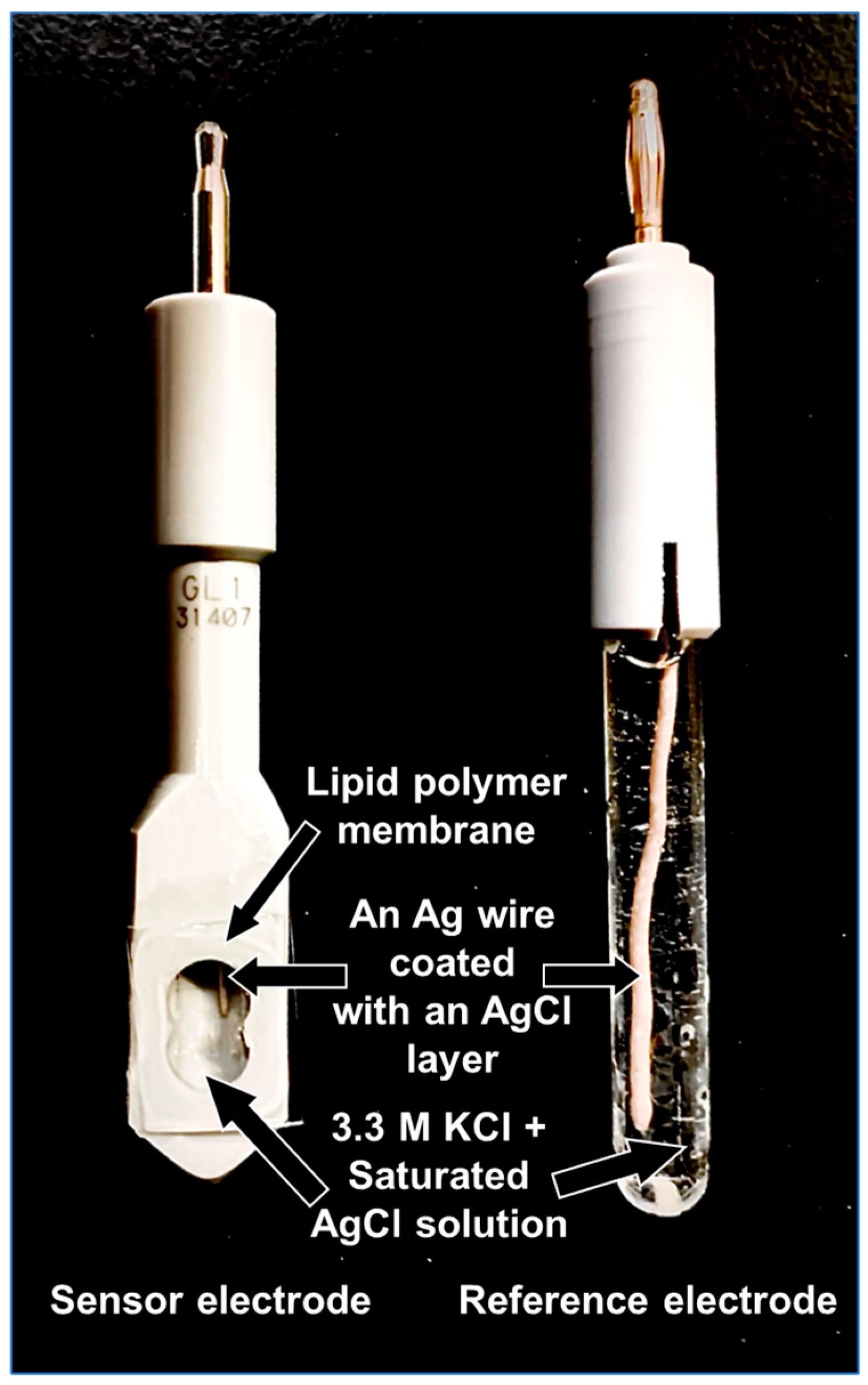 Molecules 29 05573 g006 Molecules 29 05573 g006