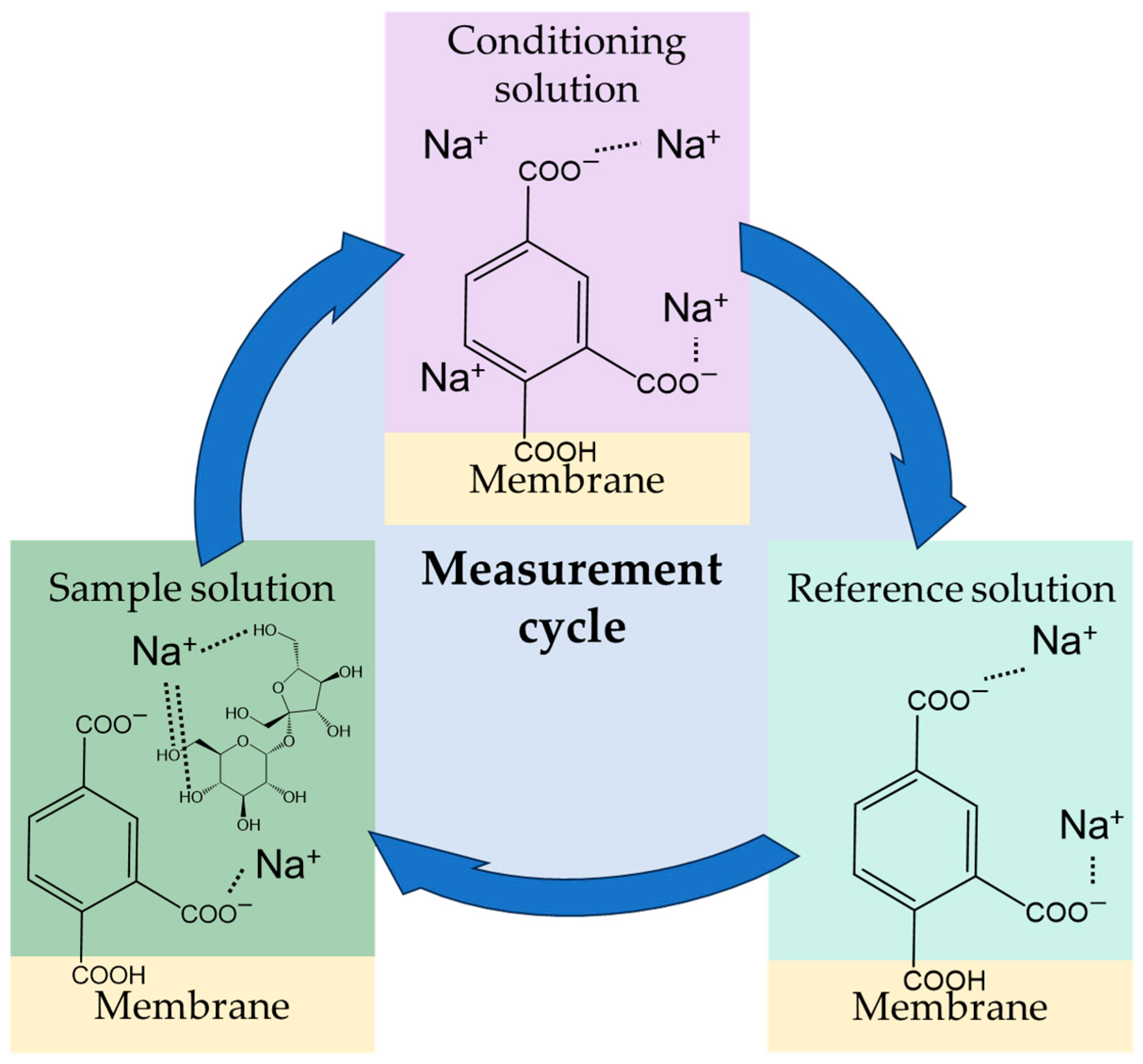 Molecules 29 05573 g007 Molecules 29 05573 g007