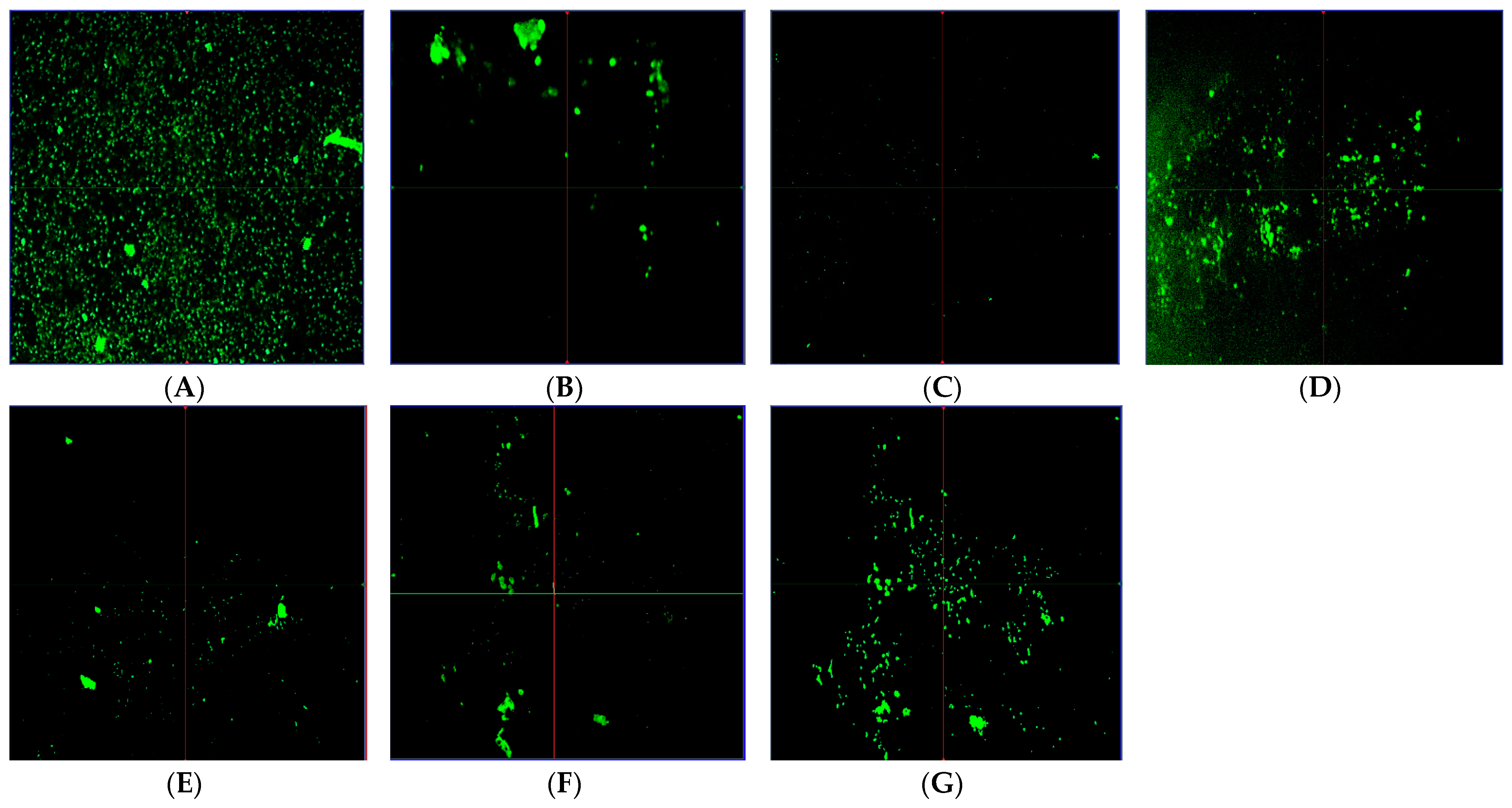 Molecules 29 05574 g004