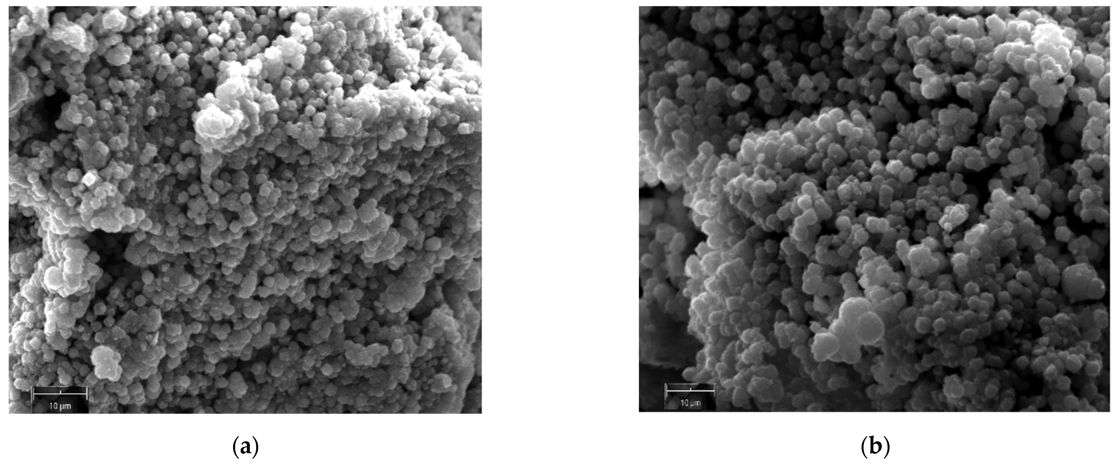 Molecules 29 05596 g003