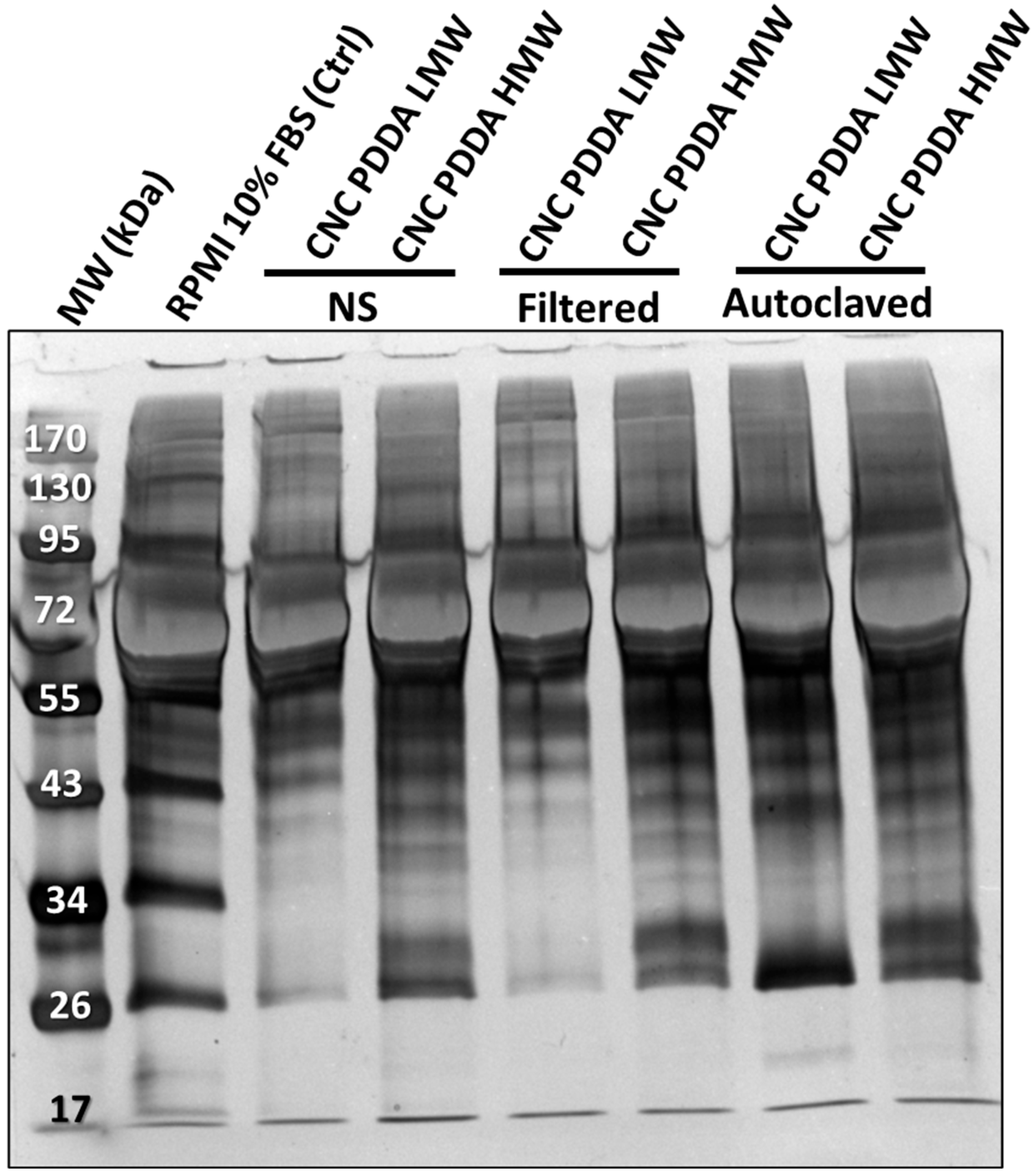 Molecules 29 05600 g004