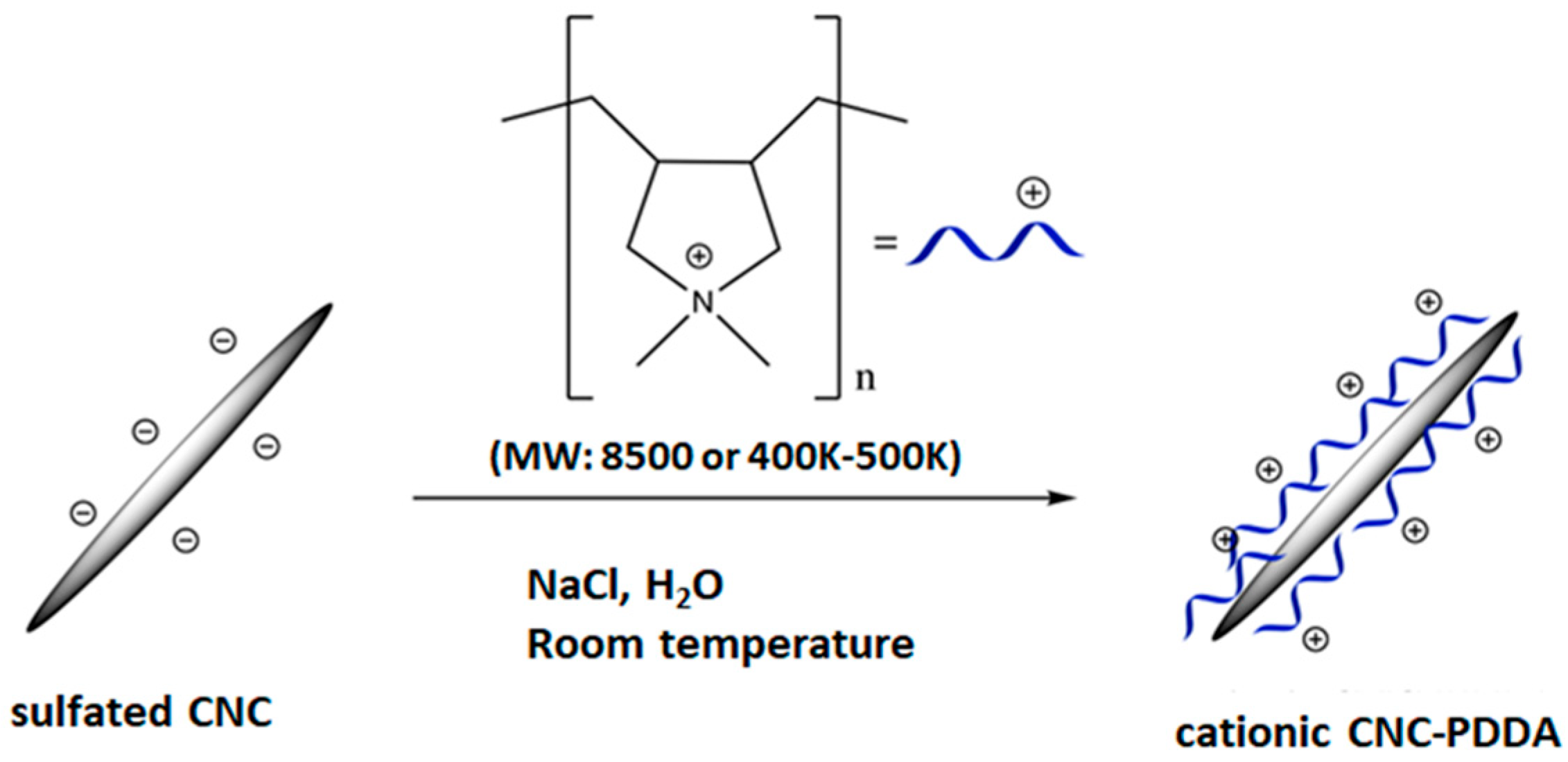 Molecules 29 05600 g011