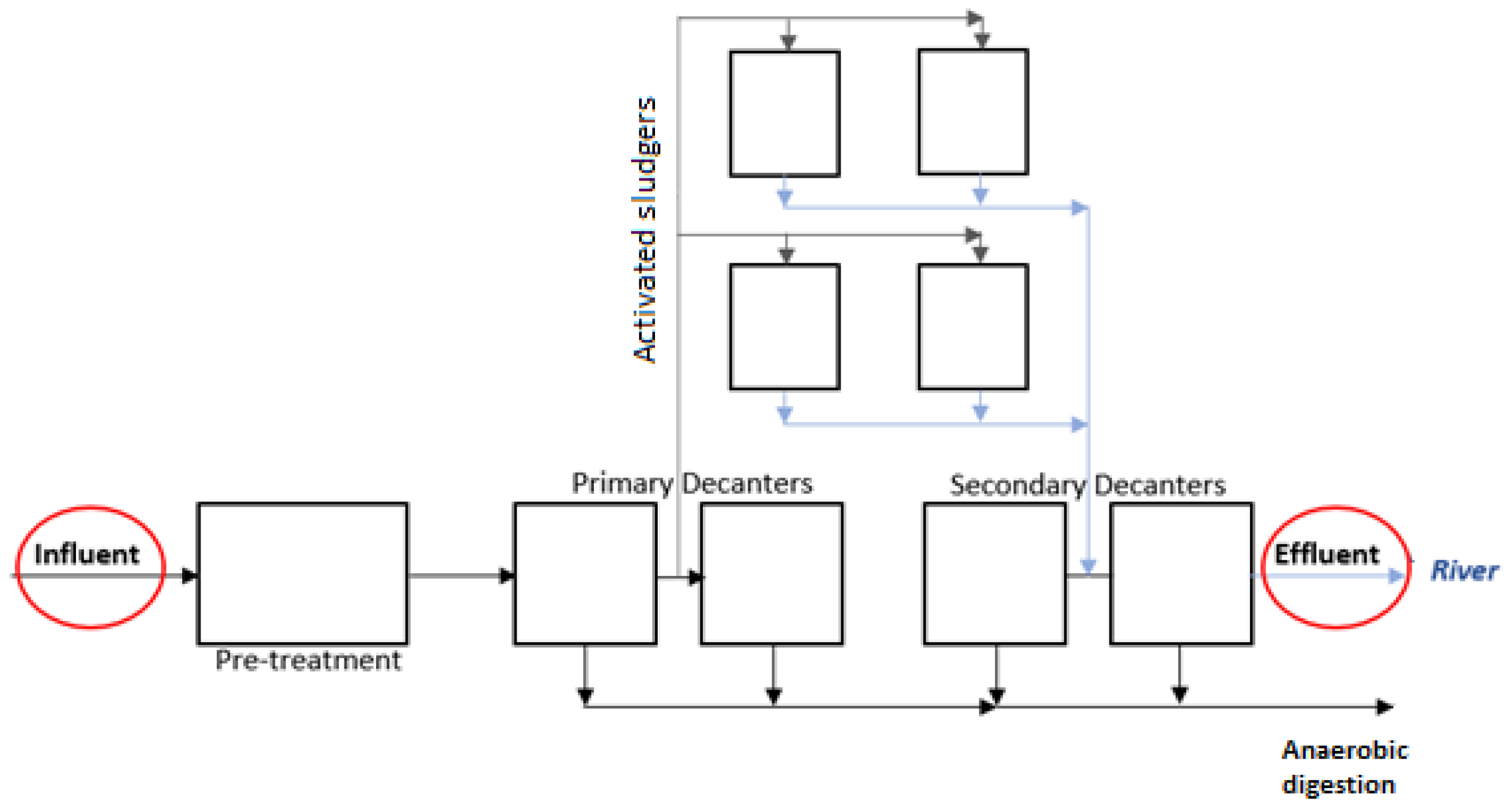 Molecules 29 05601 g001
