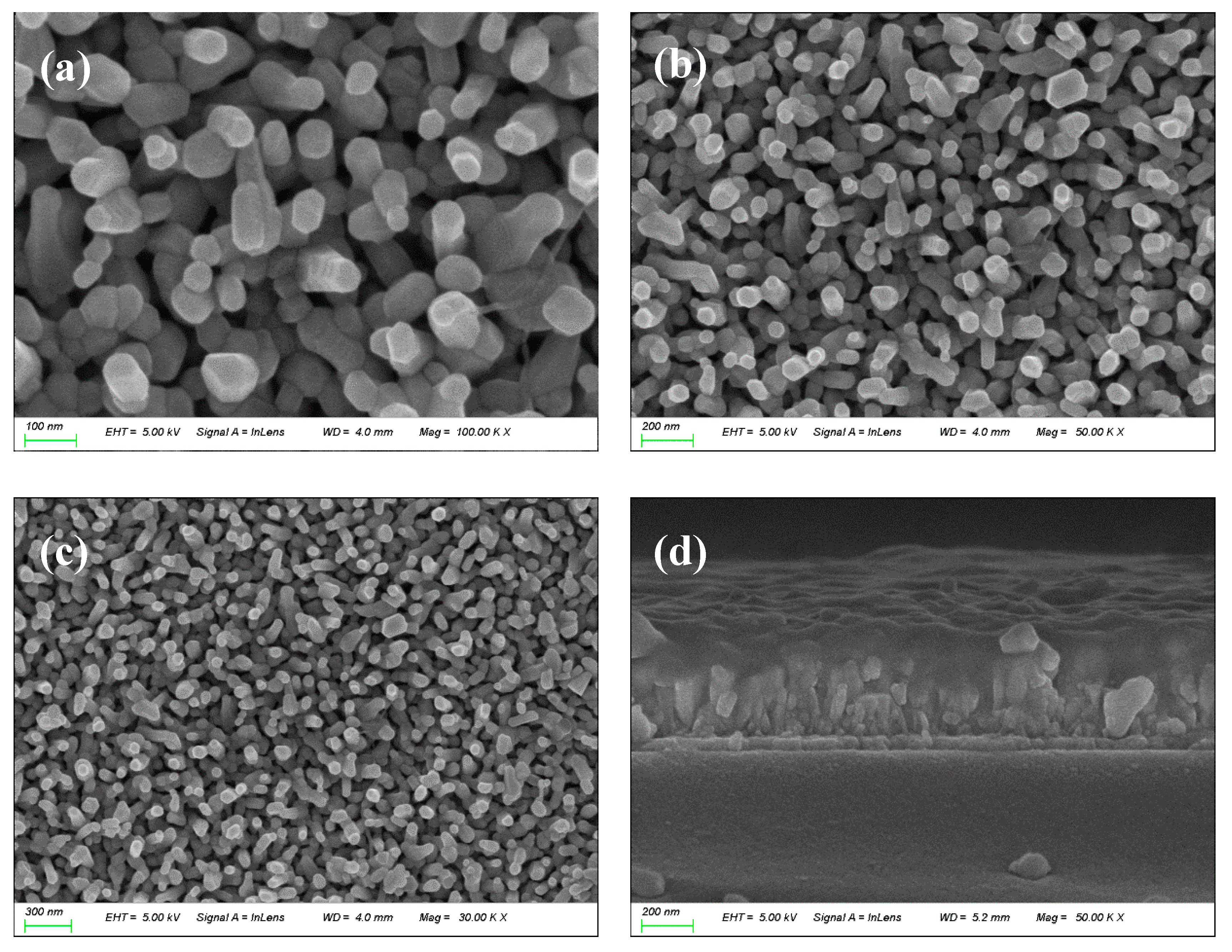 Molecules 29 05604 g003
