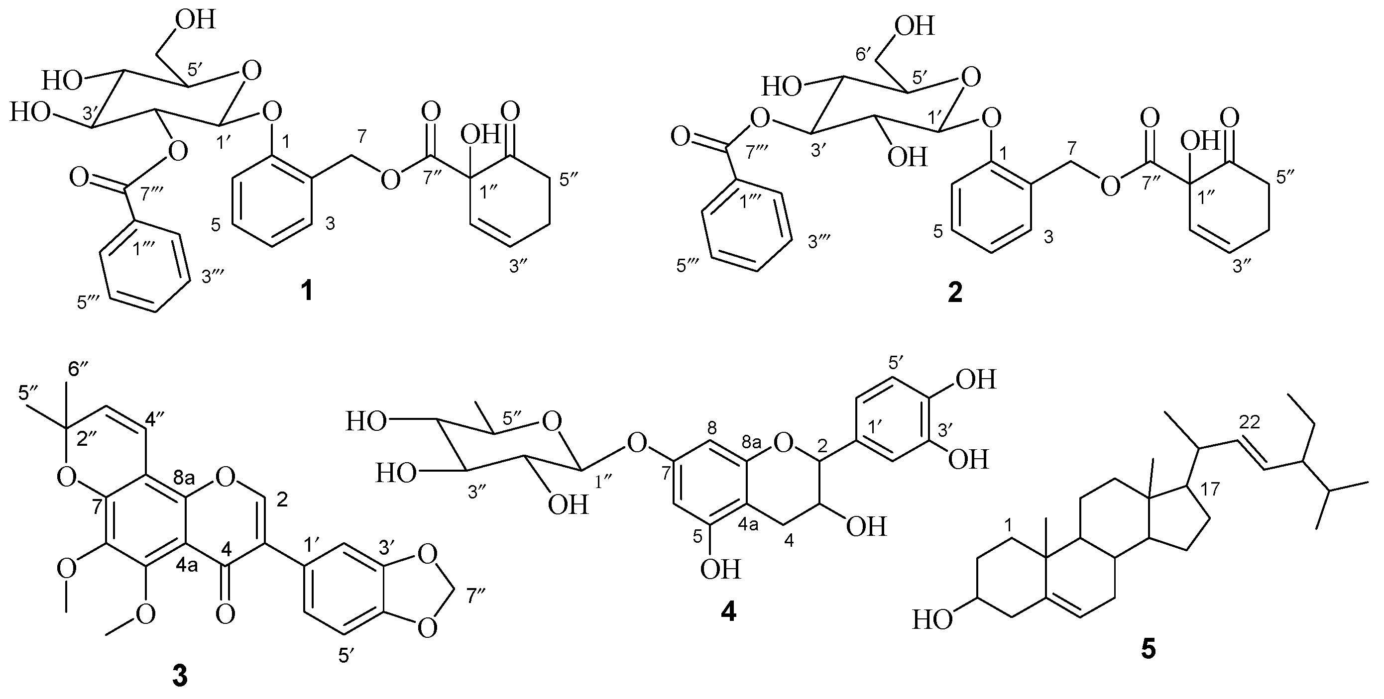 Molecules 29 05608 g001