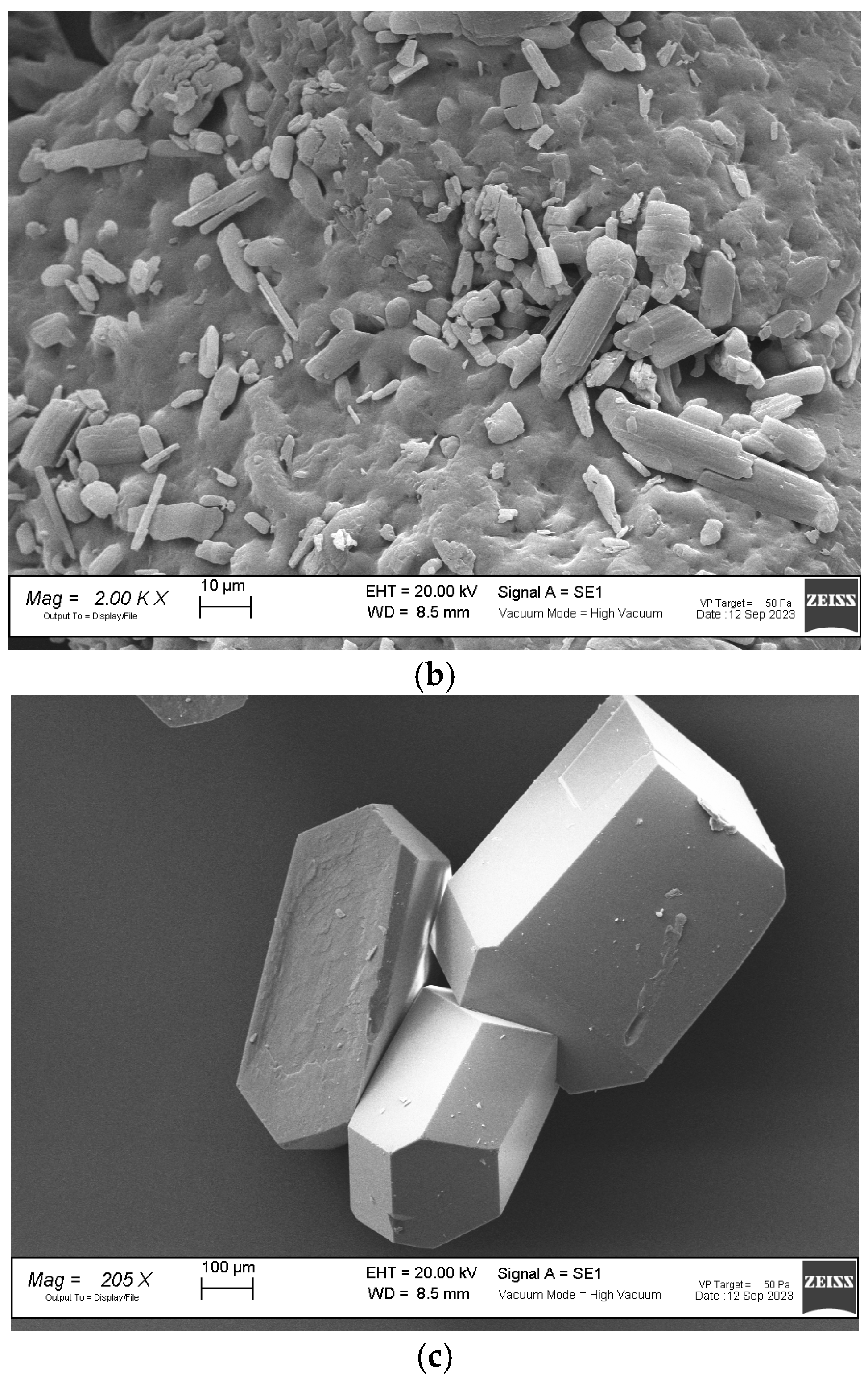 Molecules 29 05610 g008b