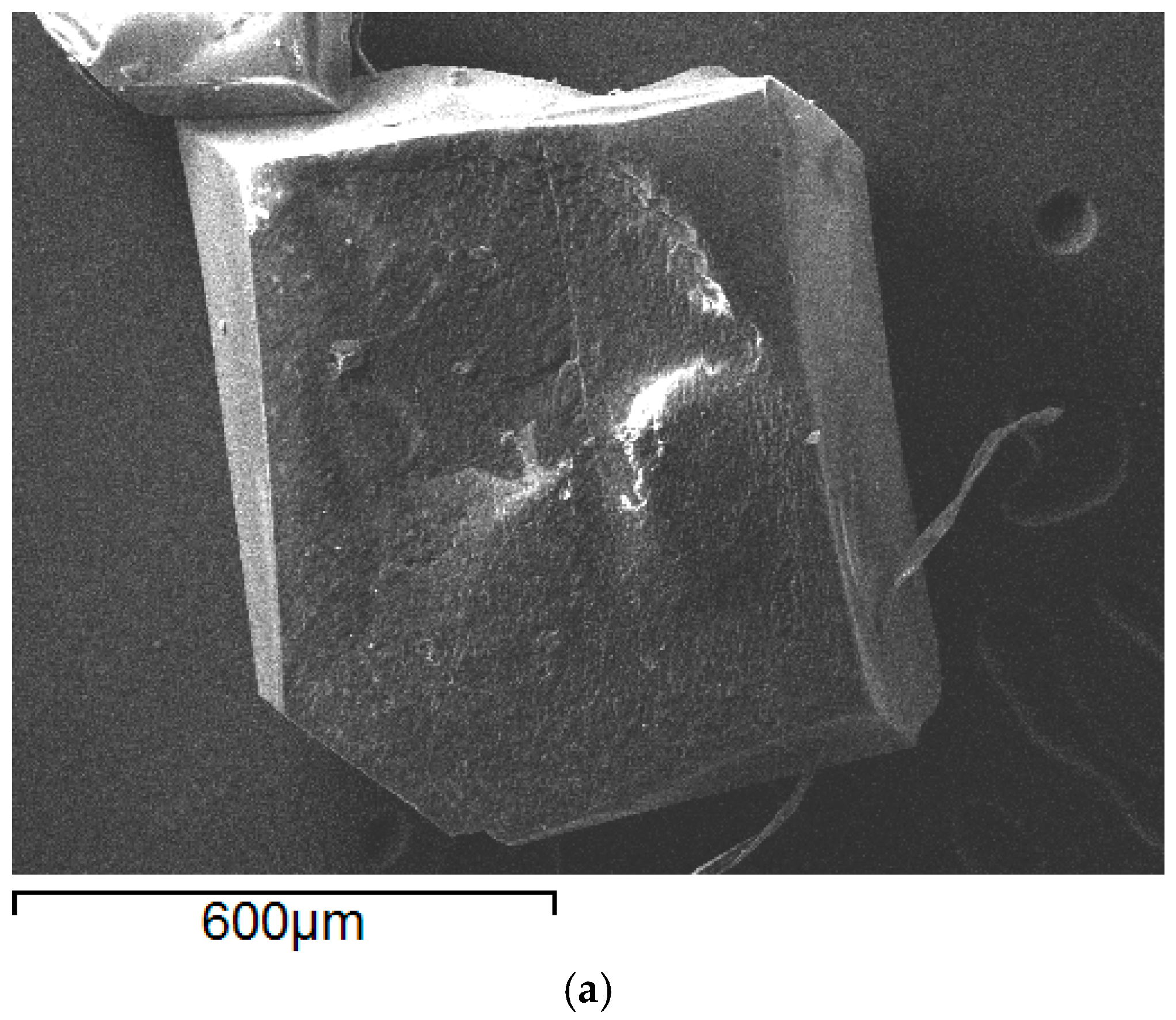 Molecules 29 05610 g009a