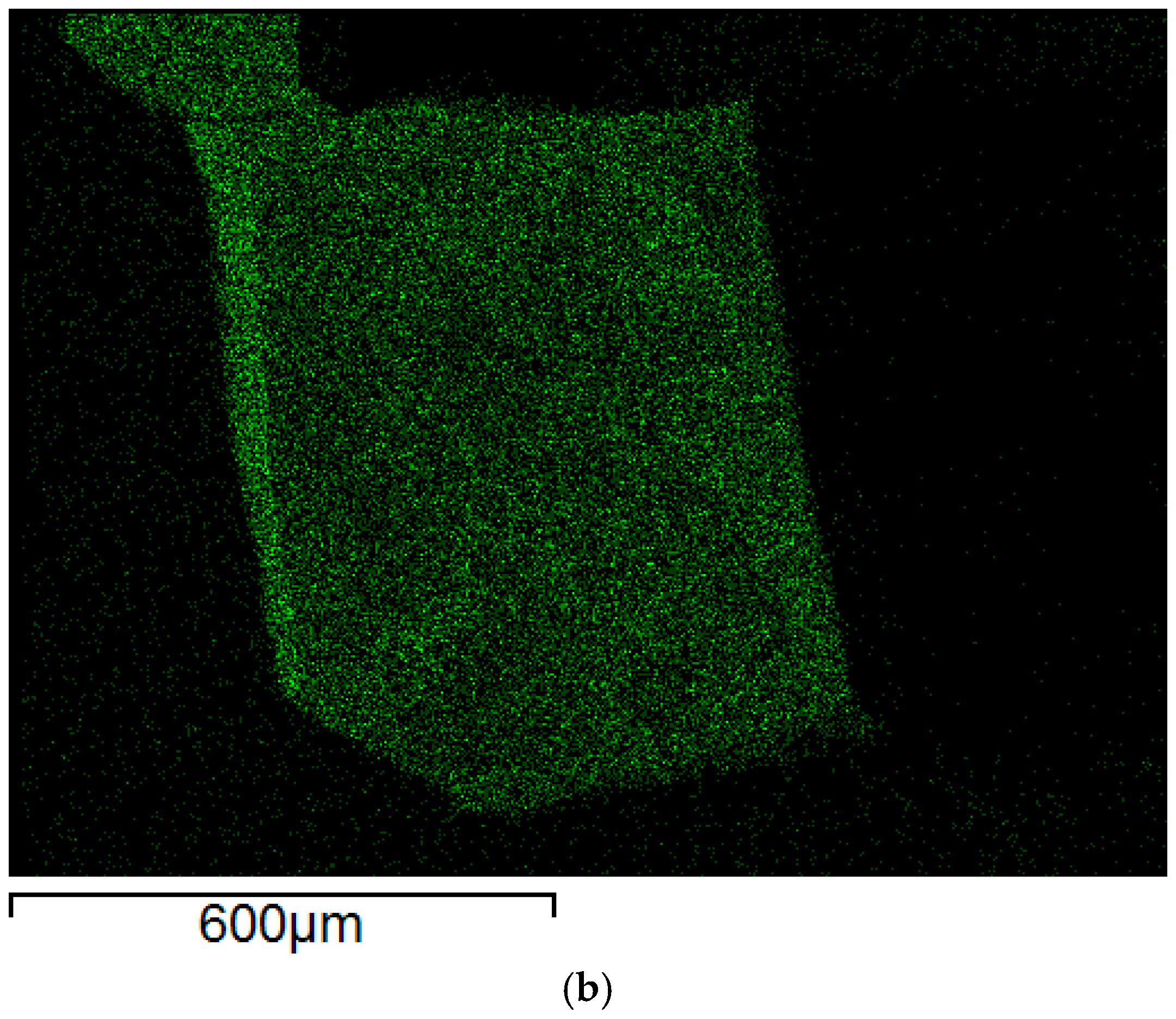 Molecules 29 05610 g009b