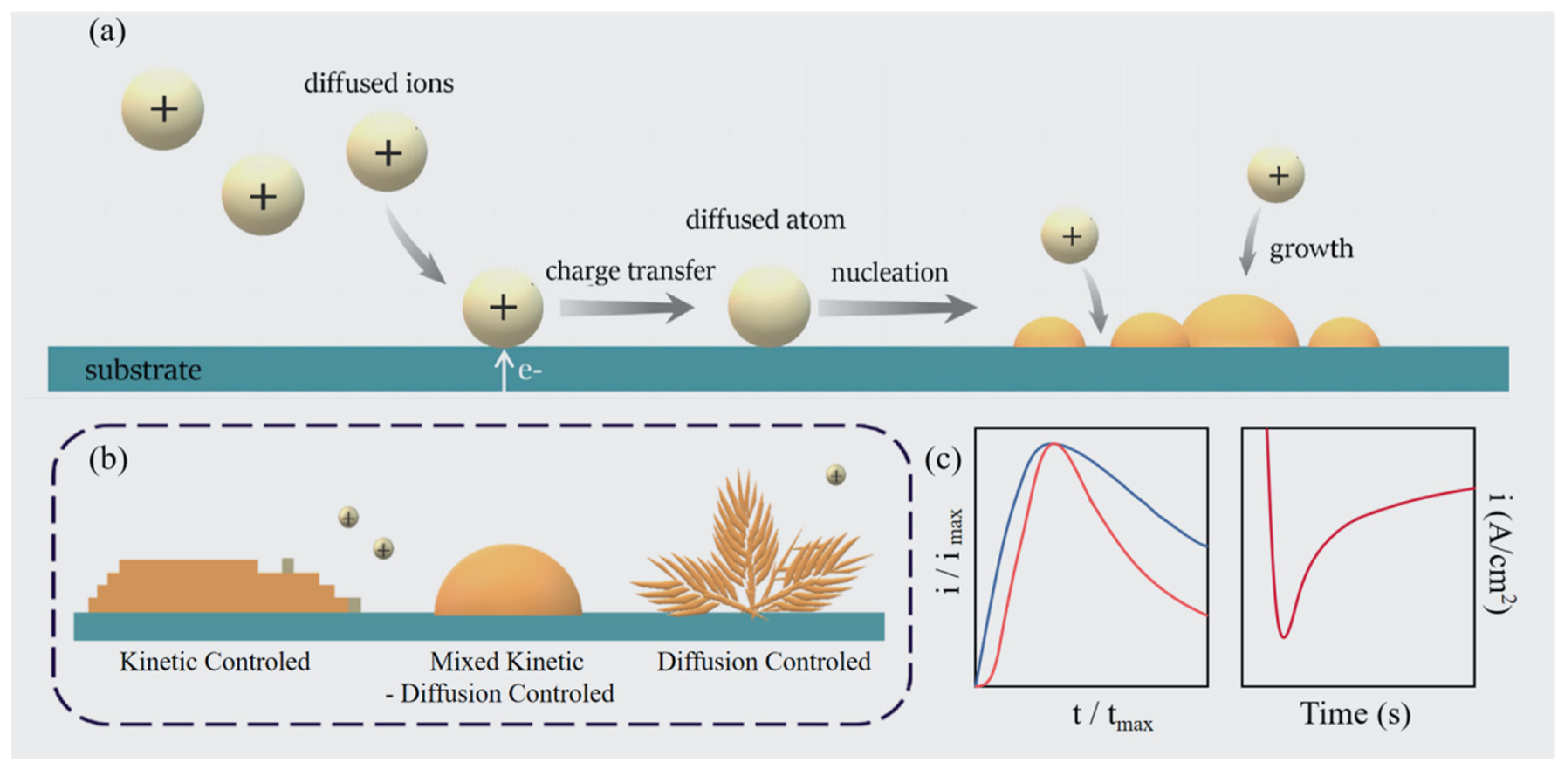 Molecules 29 05615 g003