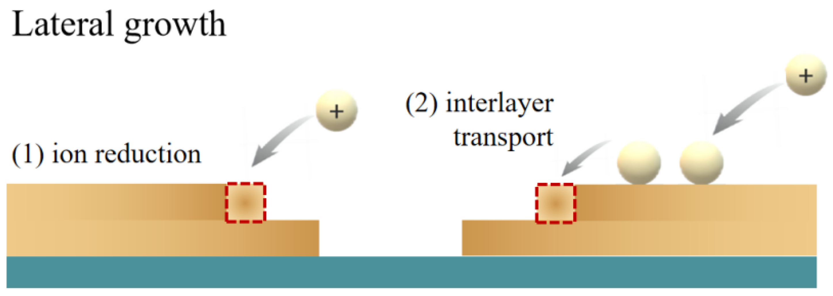 Molecules 29 05615 g004