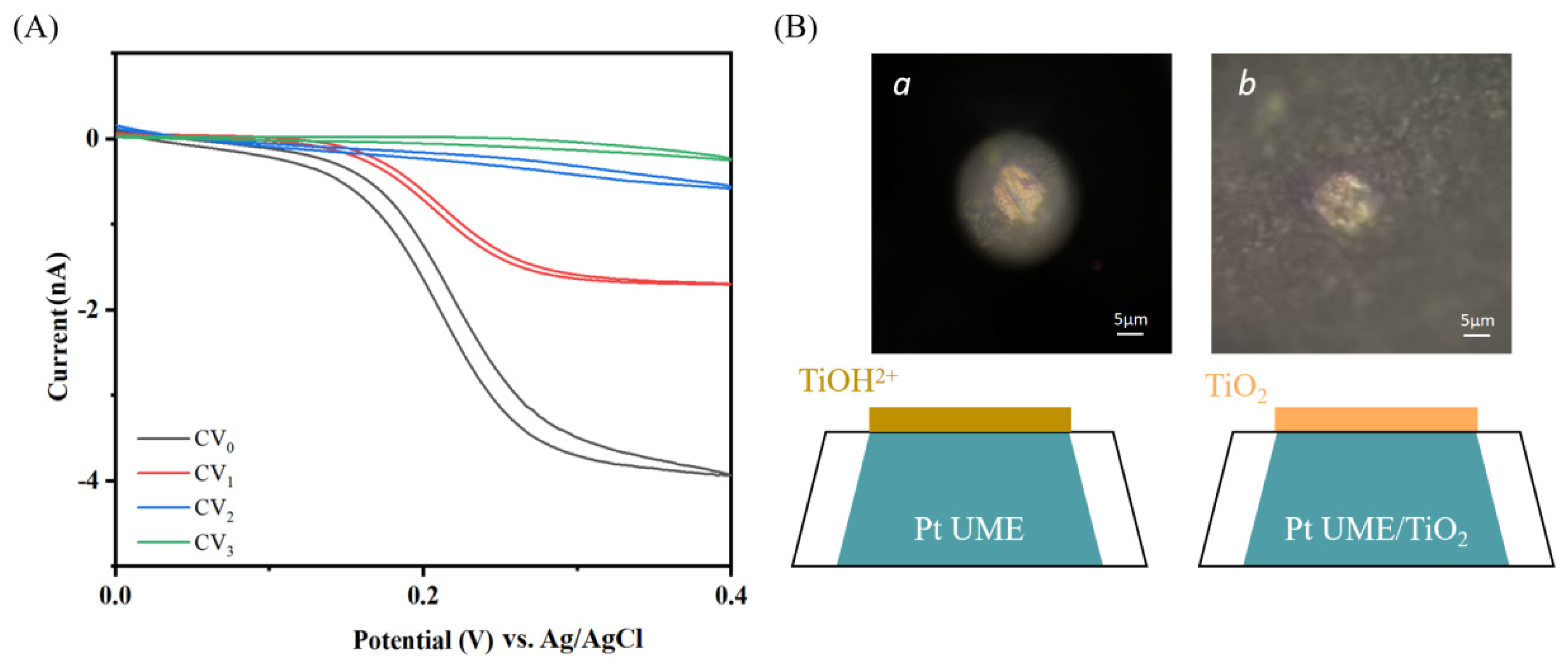 Molecules 29 05615 g010