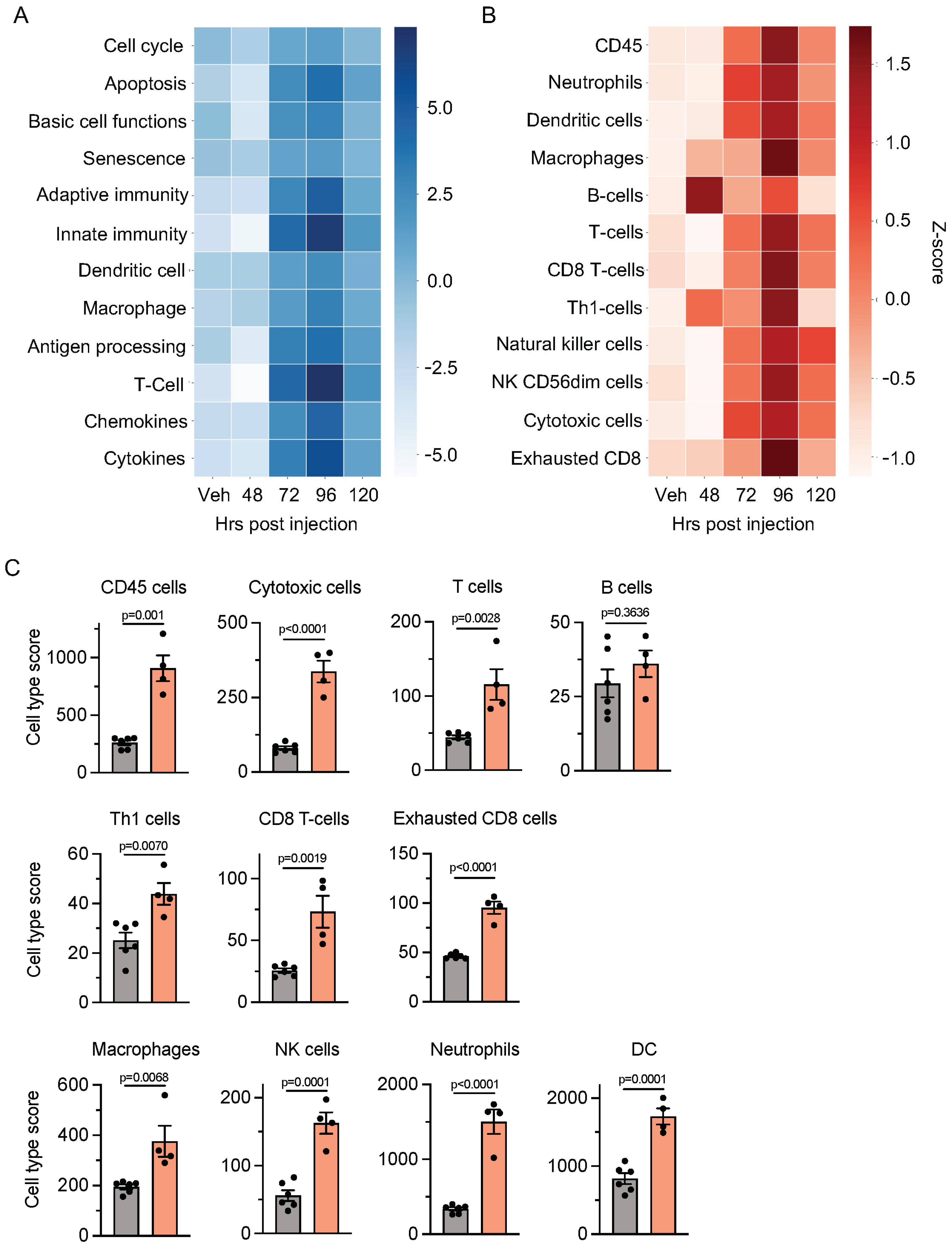 Molecules 29 05618 g005