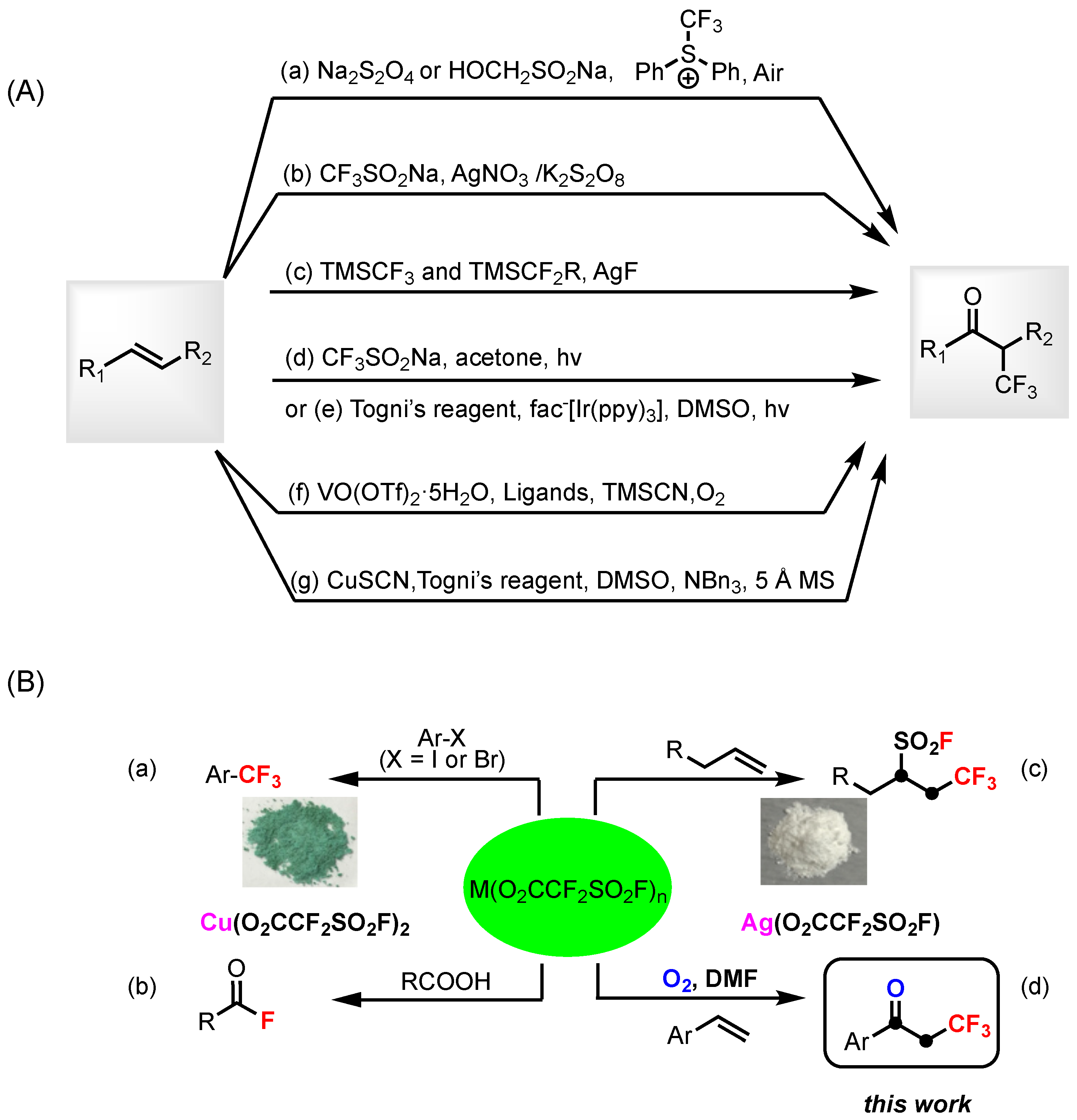 Molecules 29 05622 sch001